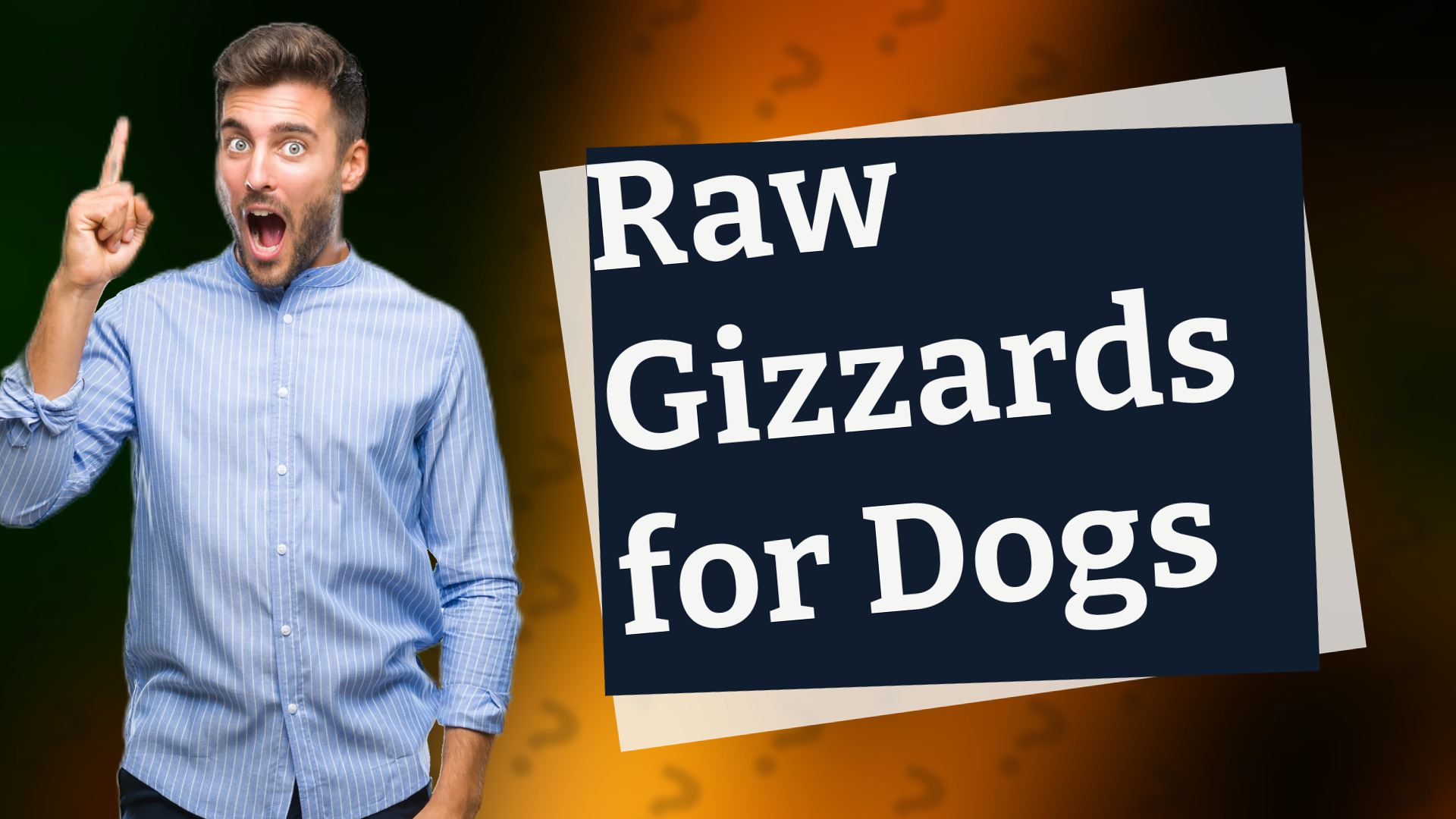 Raw Gizzards for Dogs