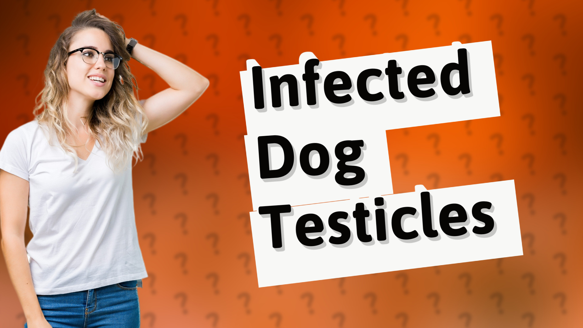 Infected Dog Testicles