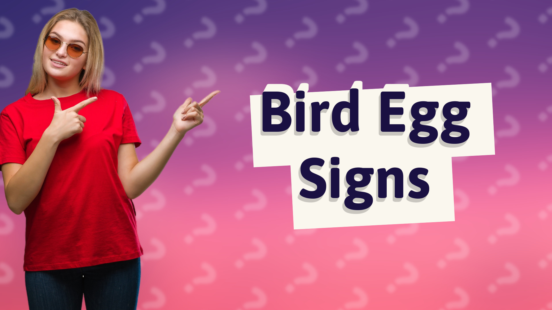 Bird Egg Signs