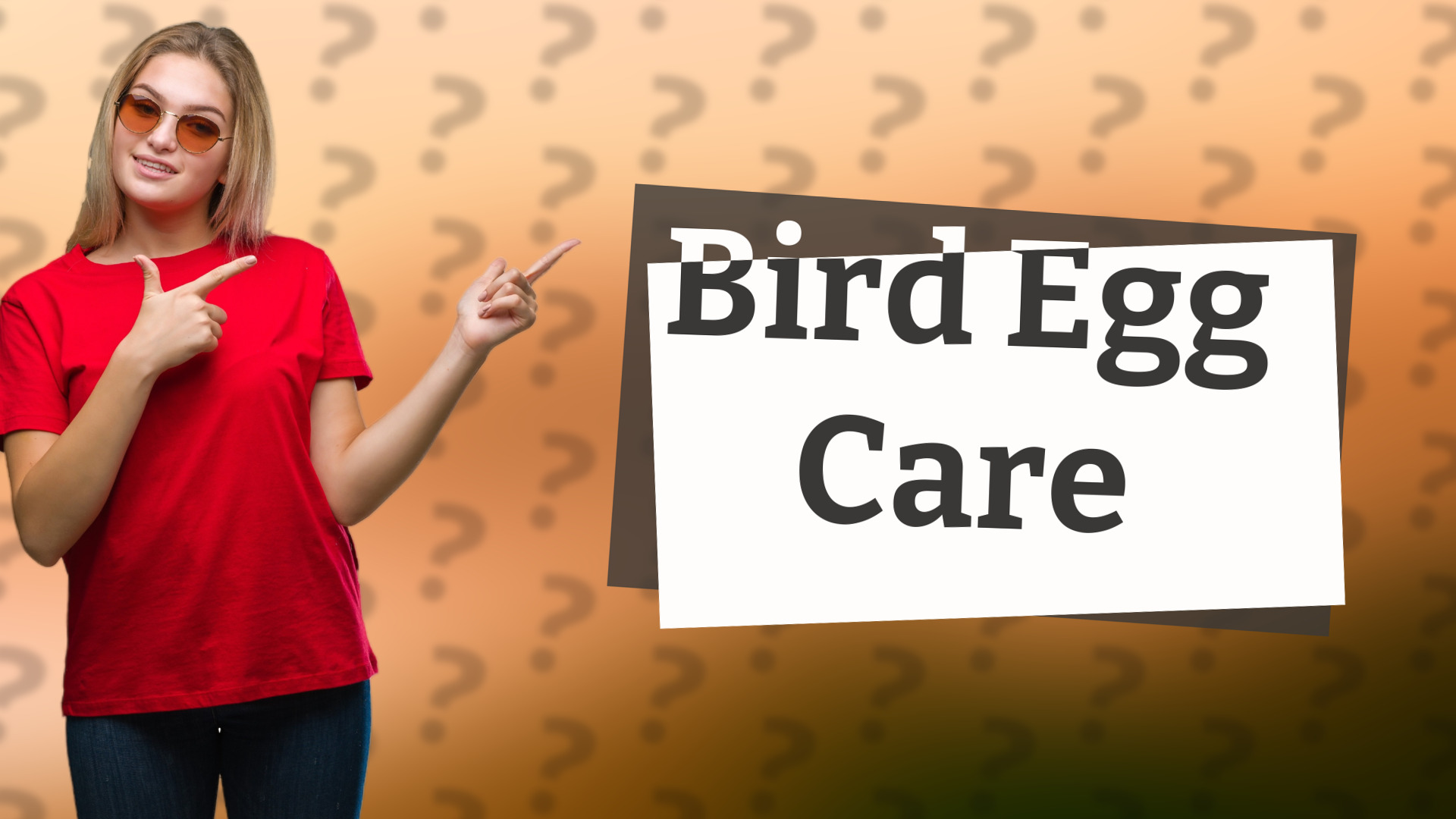 Bird Egg Care