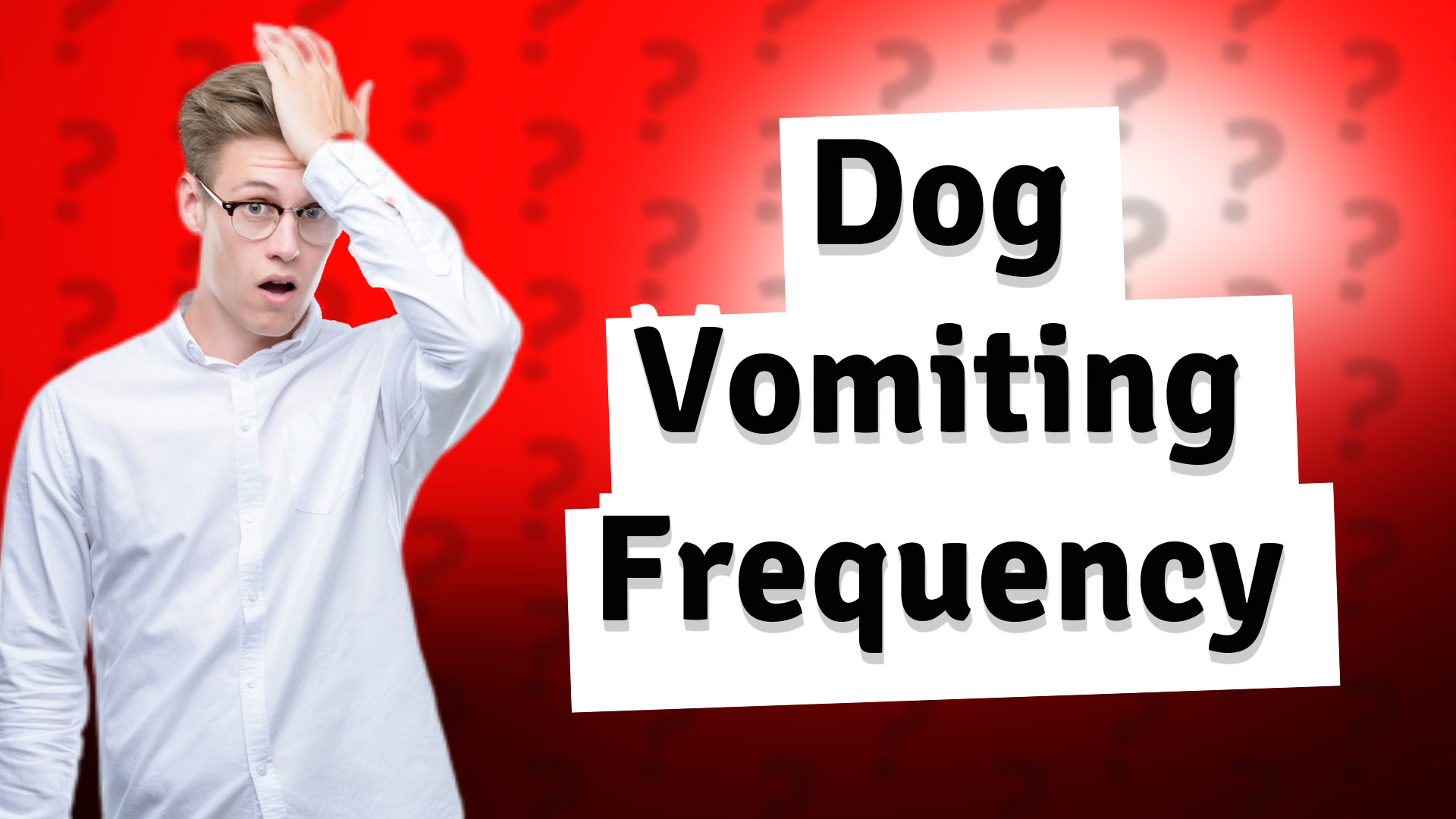 Dog Vomiting Frequency