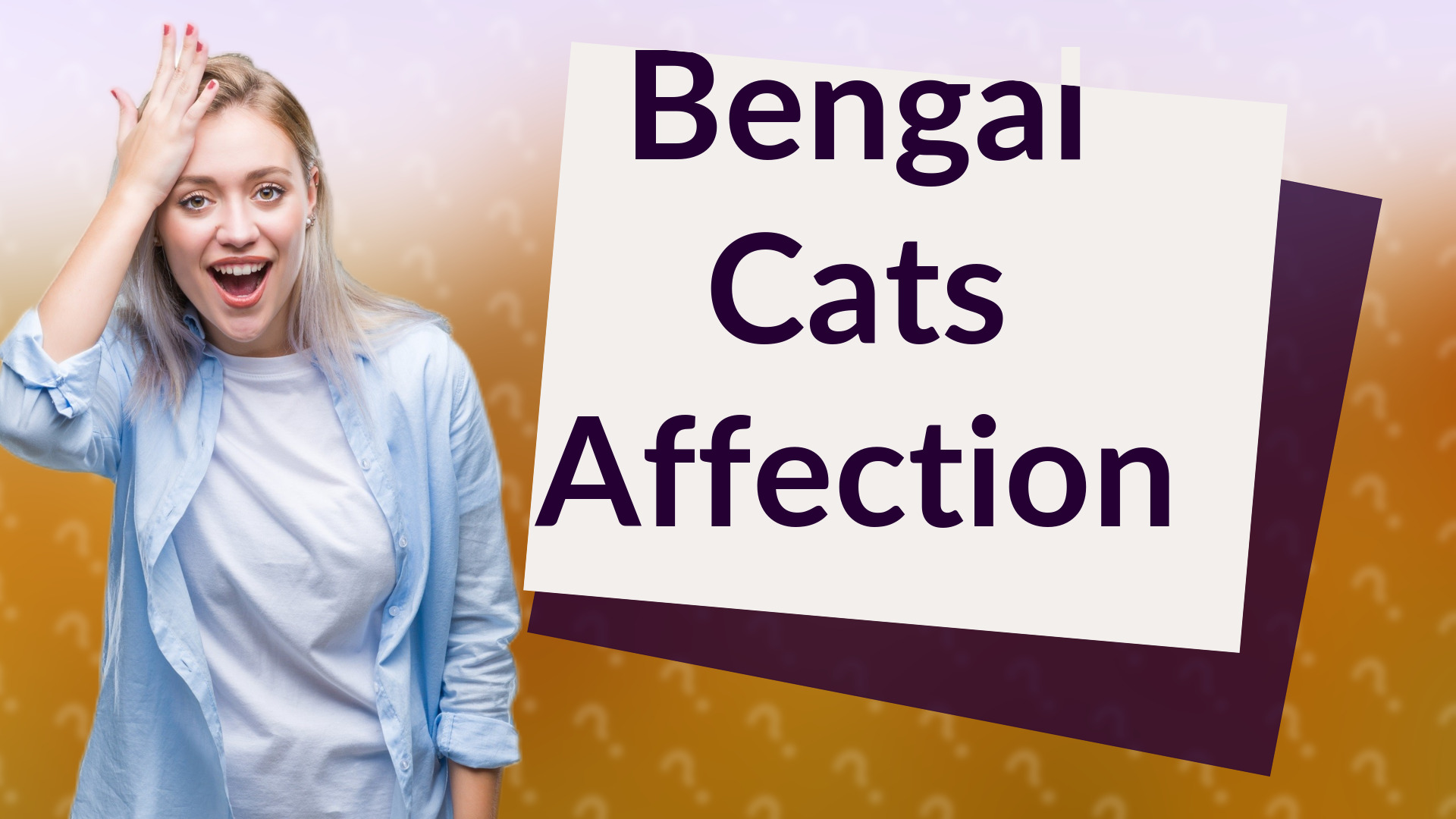 Bengal Cats Affection