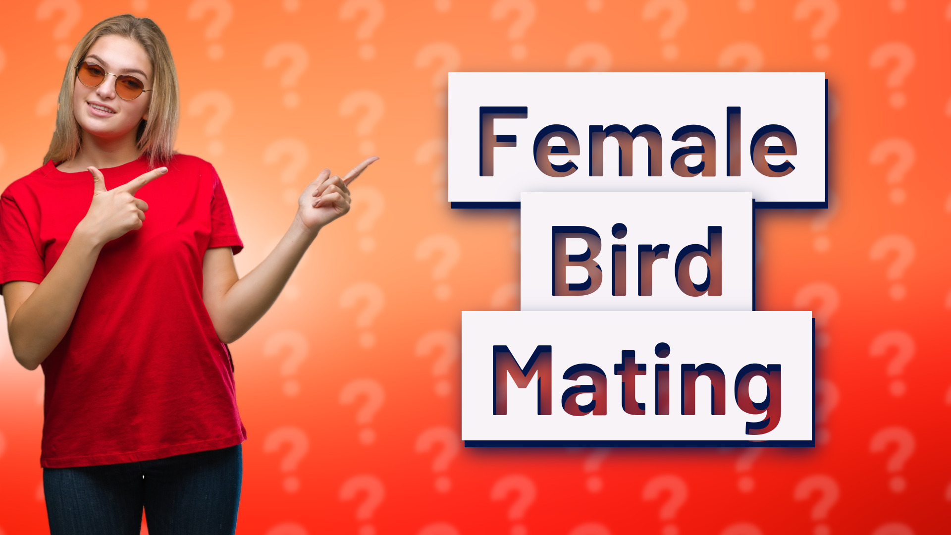 Female Bird Mating