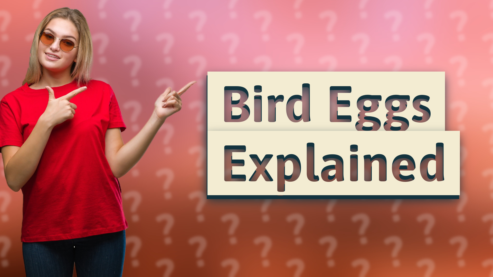 Bird Eggs Explained