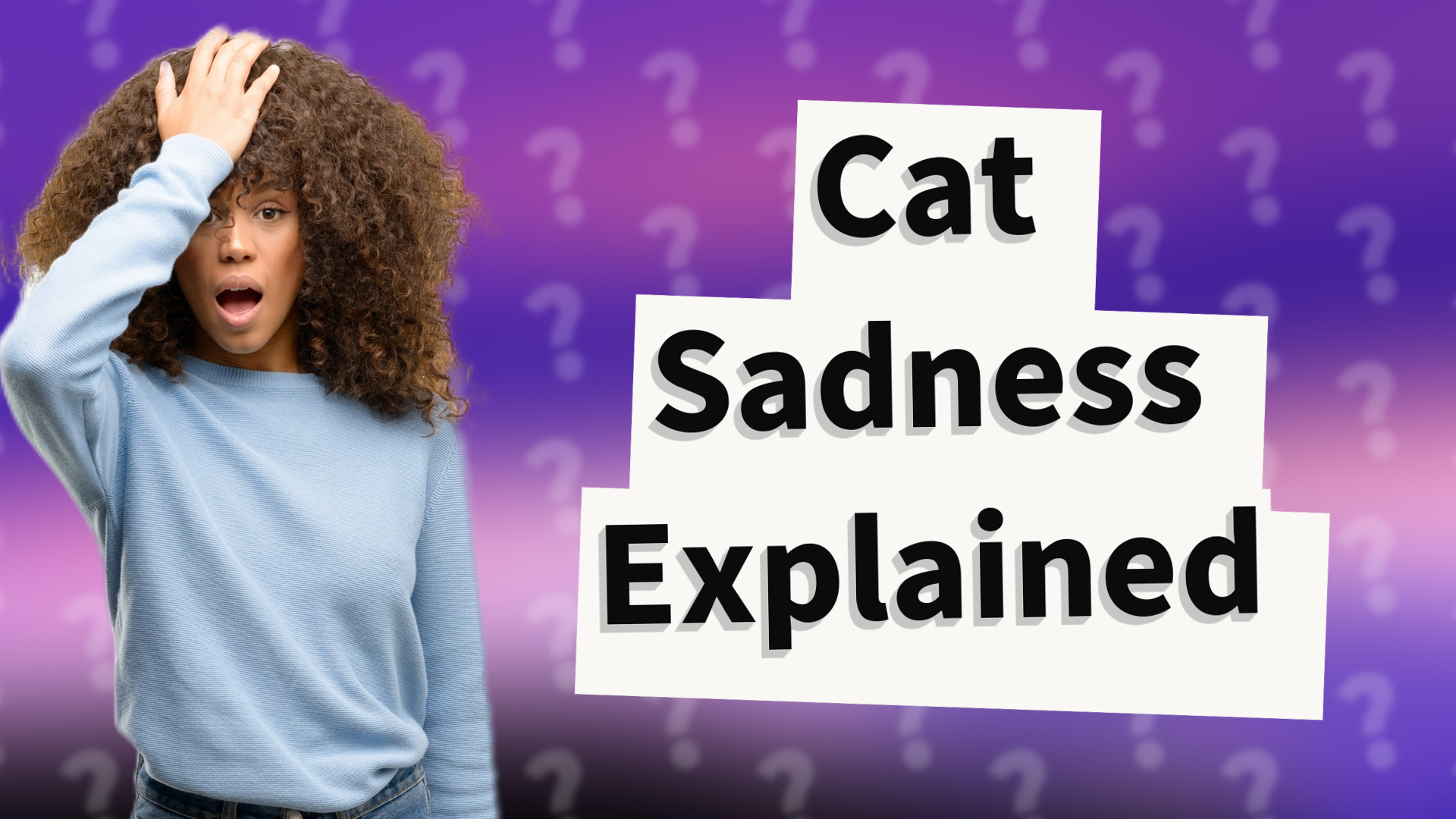 Cat Sadness Explained