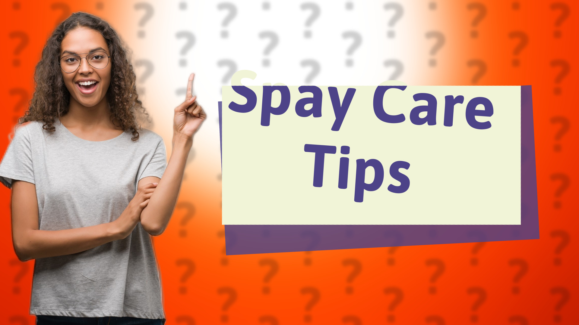 Spay Care Tips
