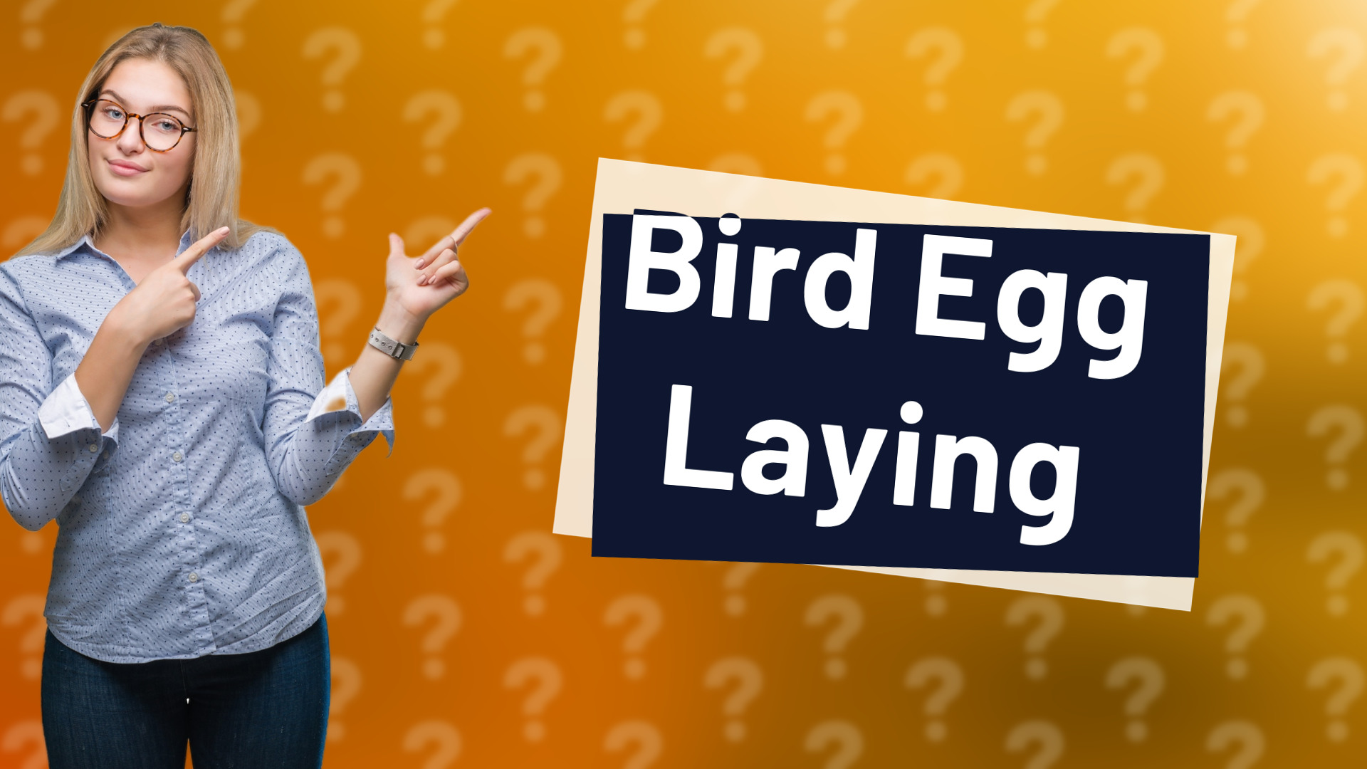 Bird Egg Laying