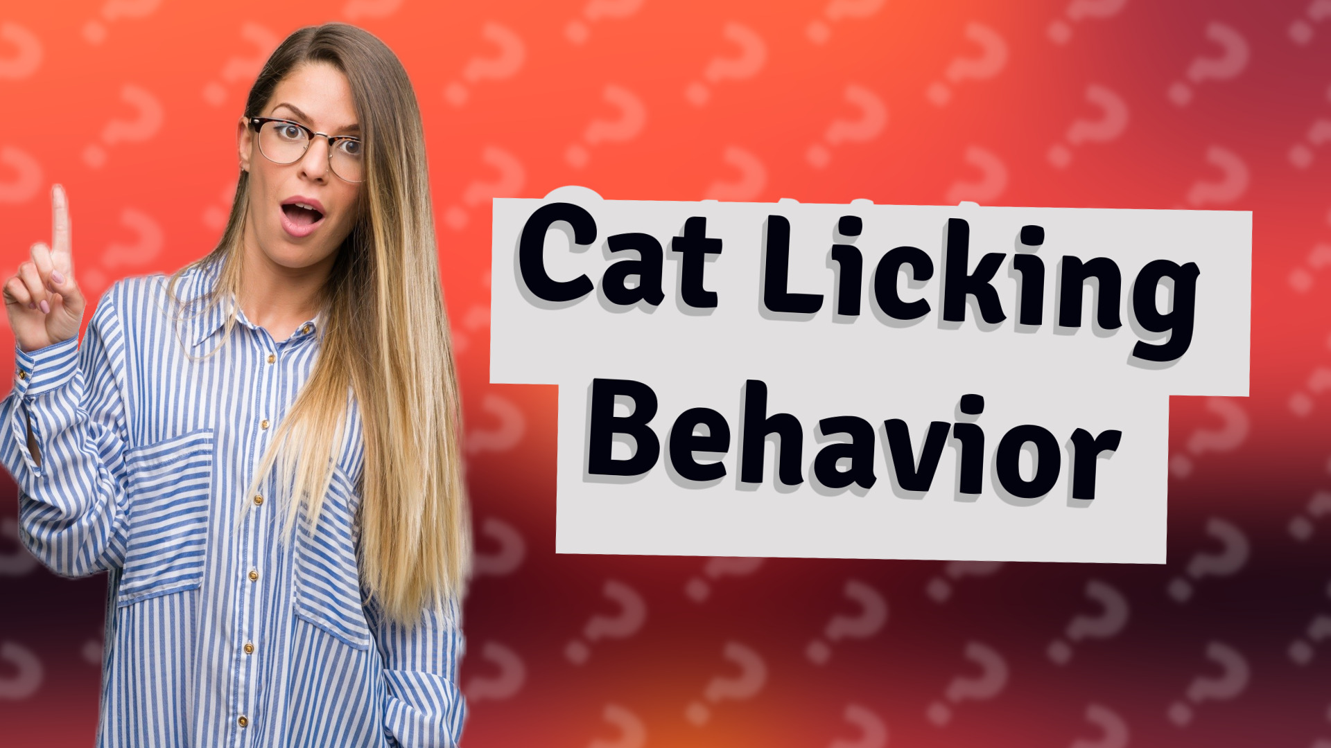 Cat Licking Behavior