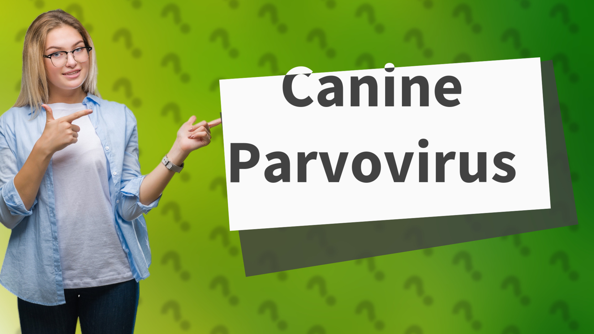 Canine Parvovirus