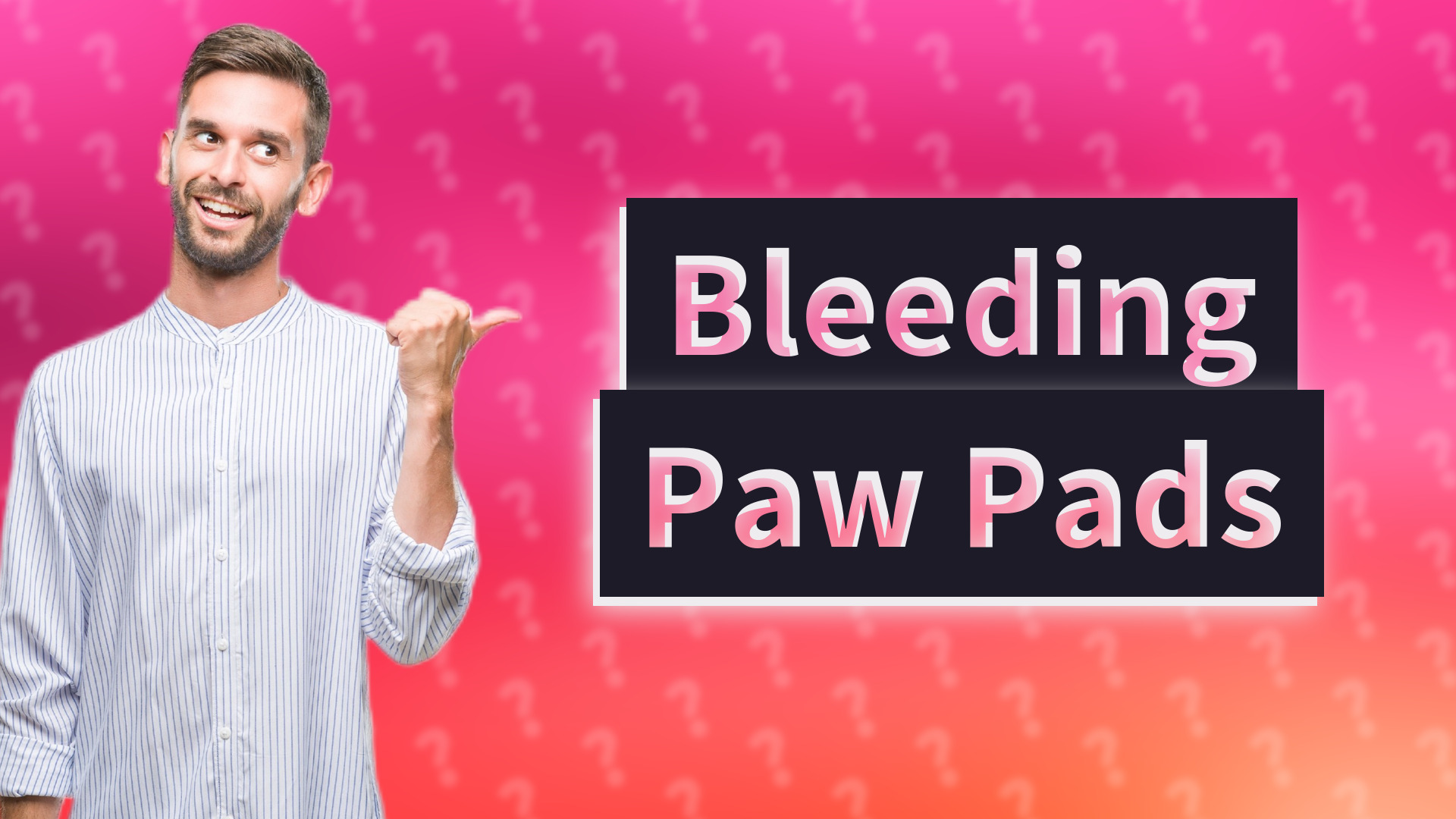 Bleeding Paw Pads