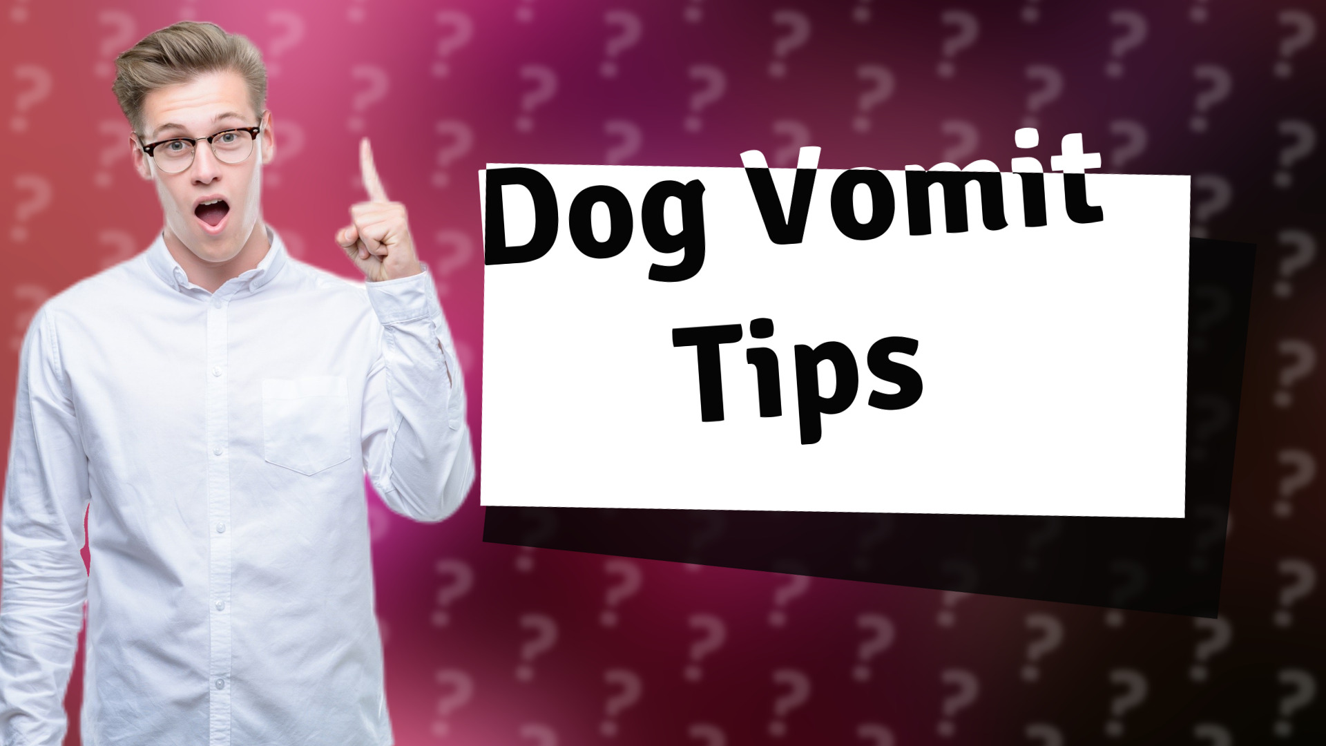 Dog Vomit Tips