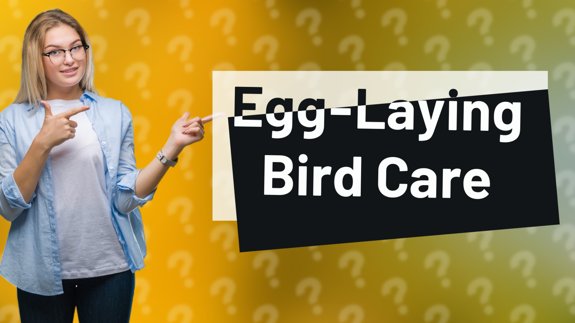 Egg-Laying Bird Care