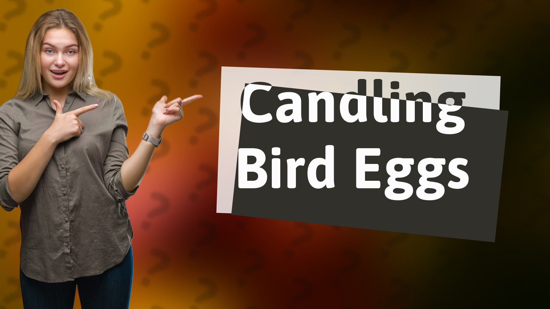 Candling Bird Eggs