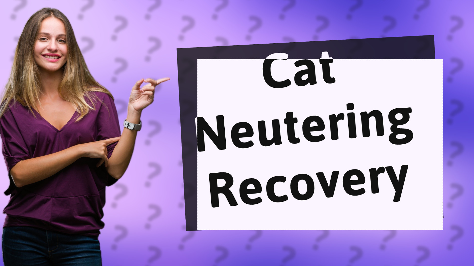 Cat Neutering Recovery