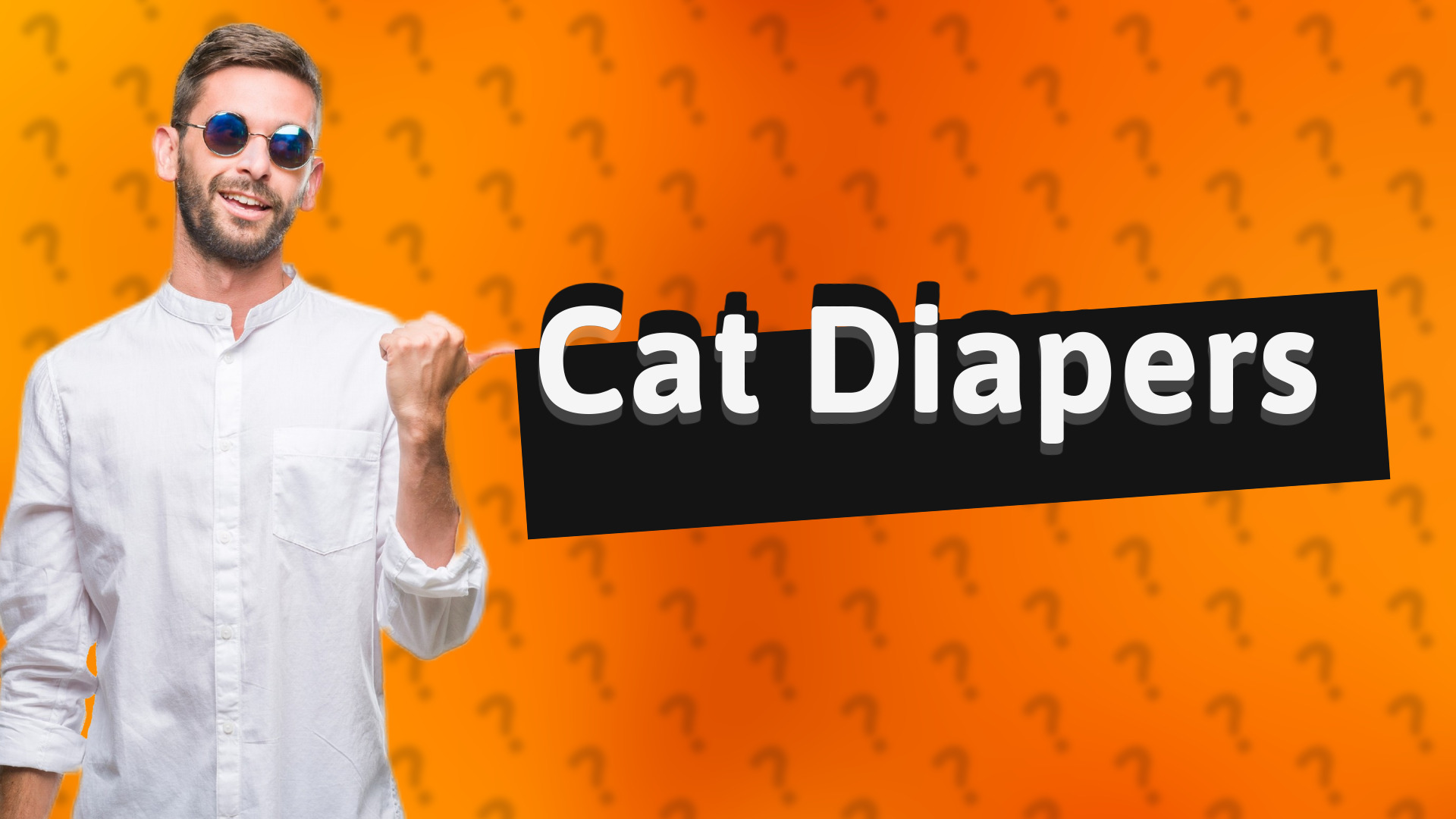 Cat Diapers
