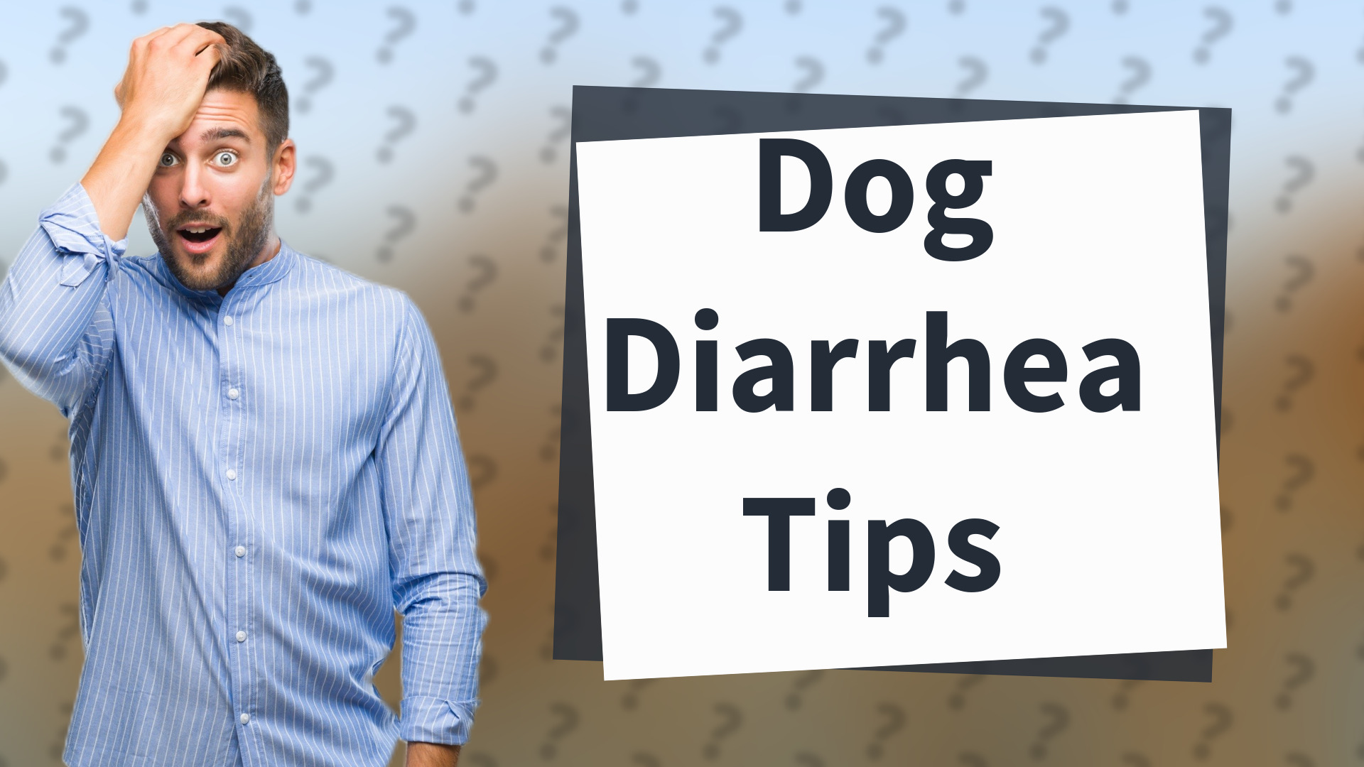 Dog Diarrhea Tips