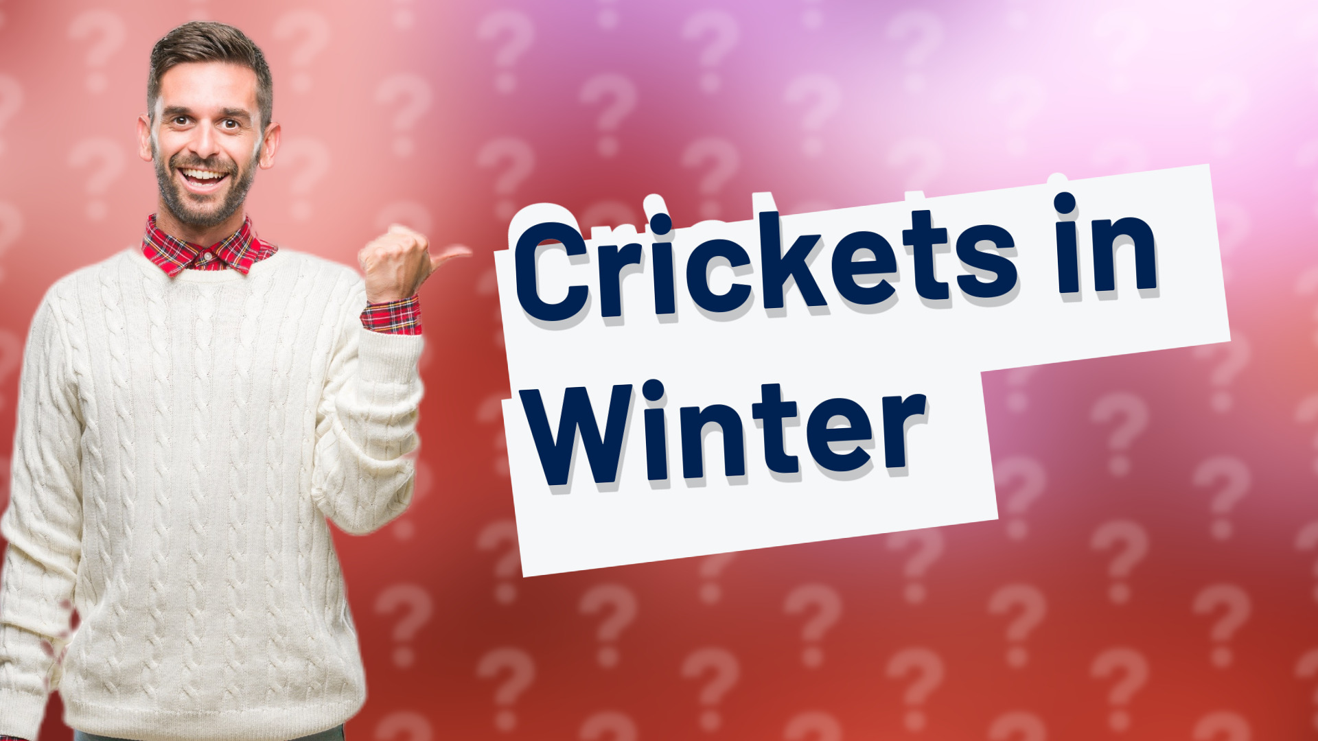 Crickets in Winter