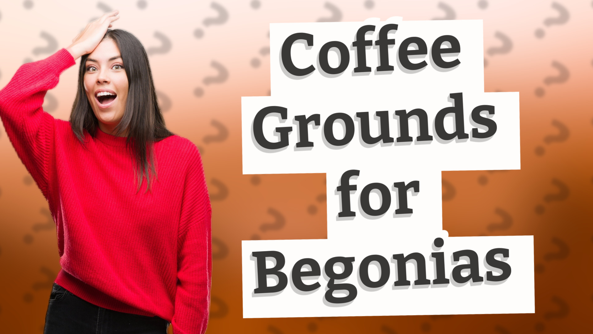 Coffee Grounds for Begonias