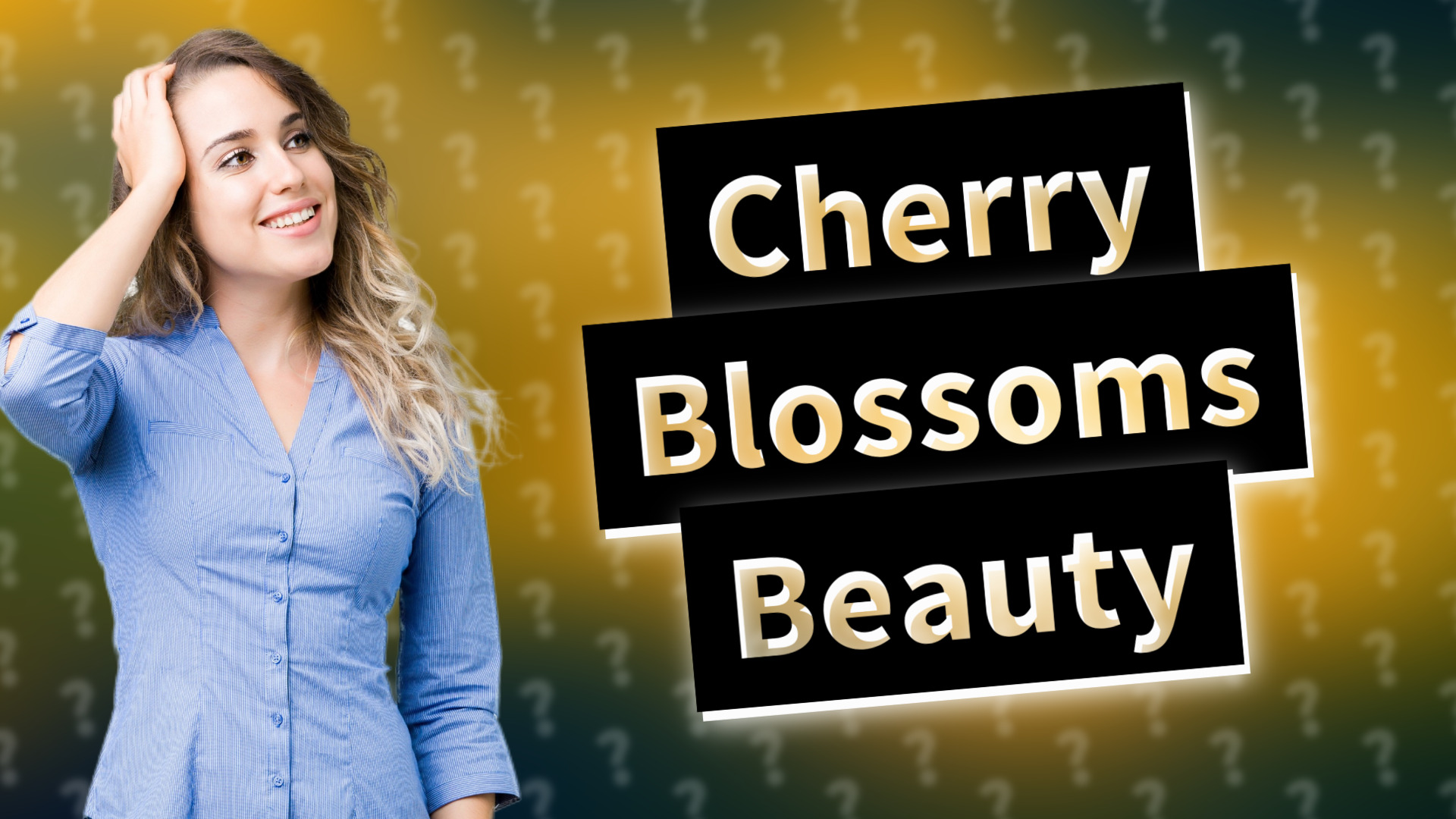 Cherry Blossoms Beauty