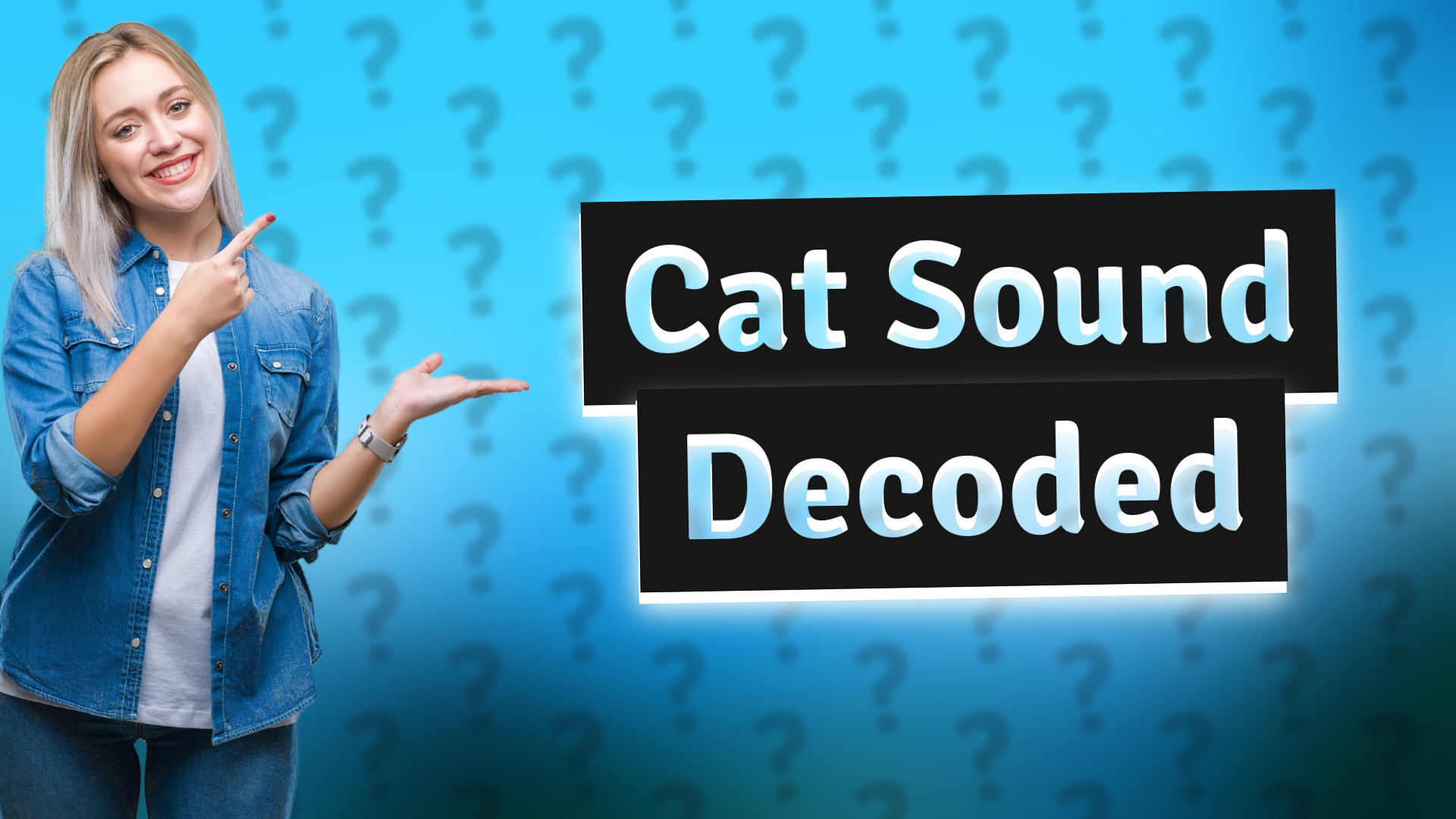 Cat Sound Decoded