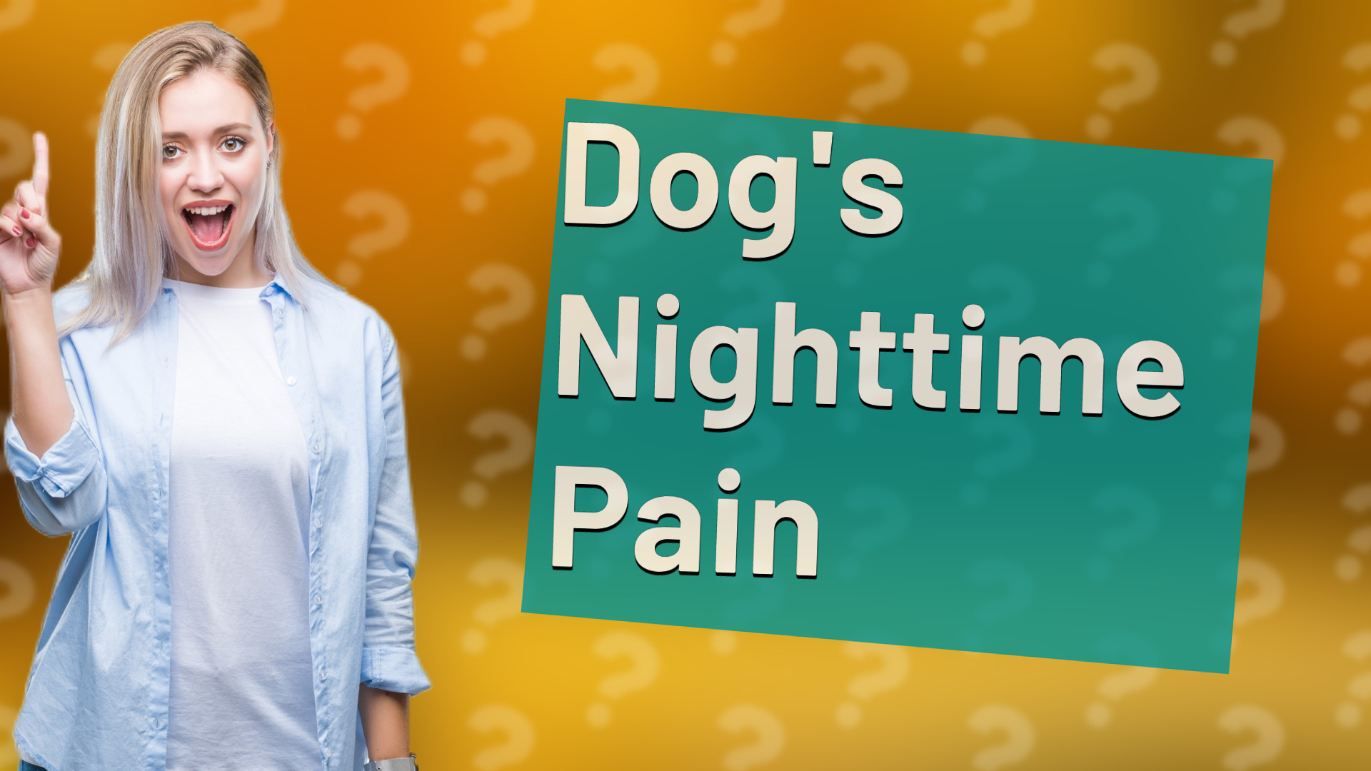 Dog's Nighttime Pain