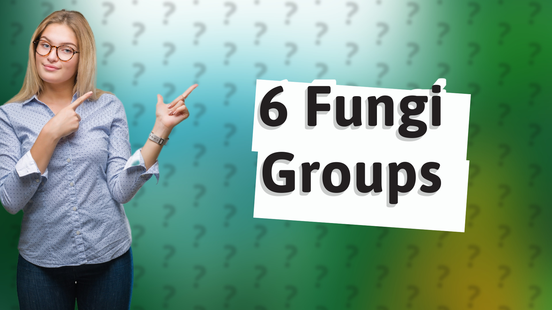 6 Fungi Groups