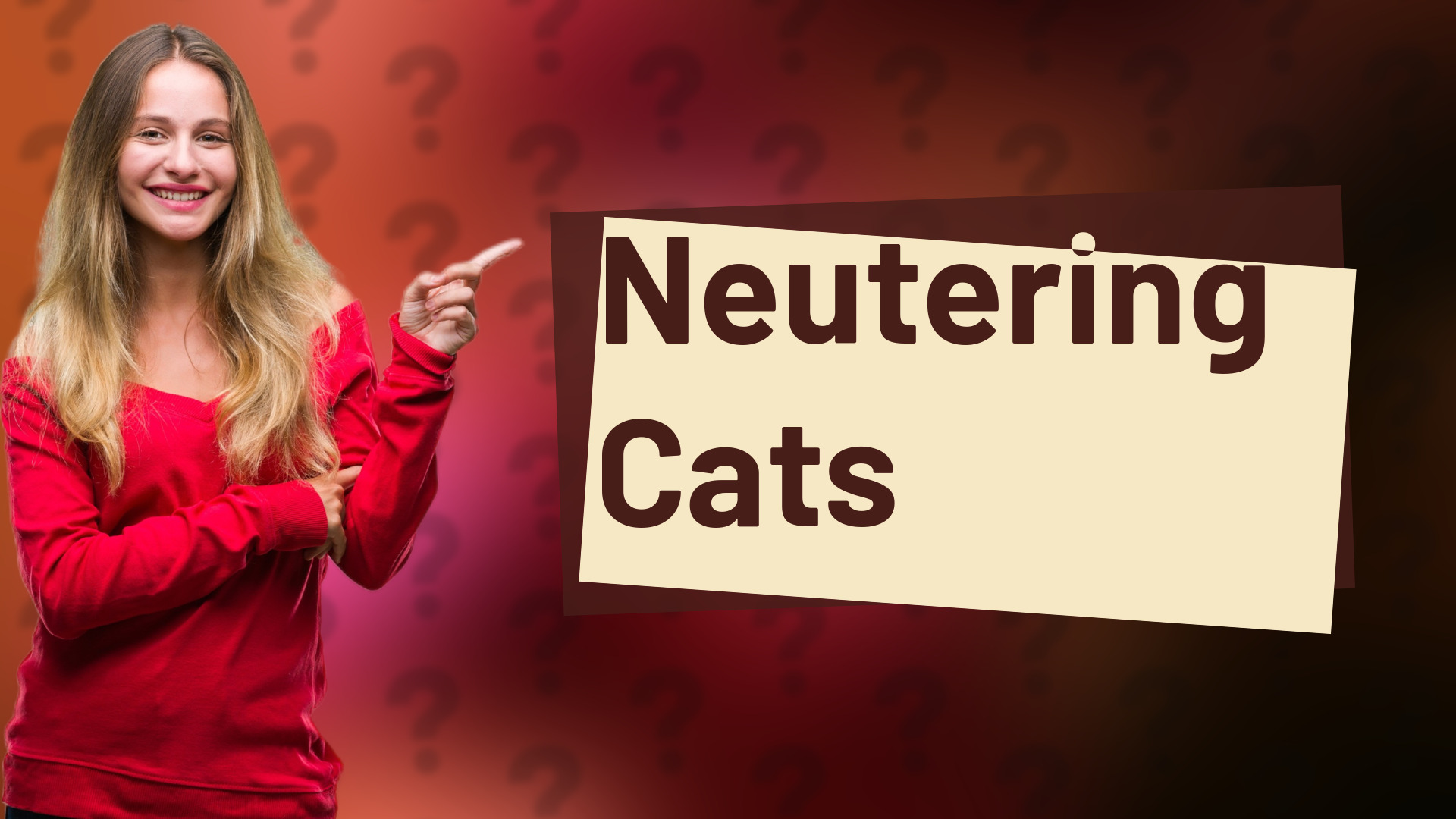 Neutering Cats