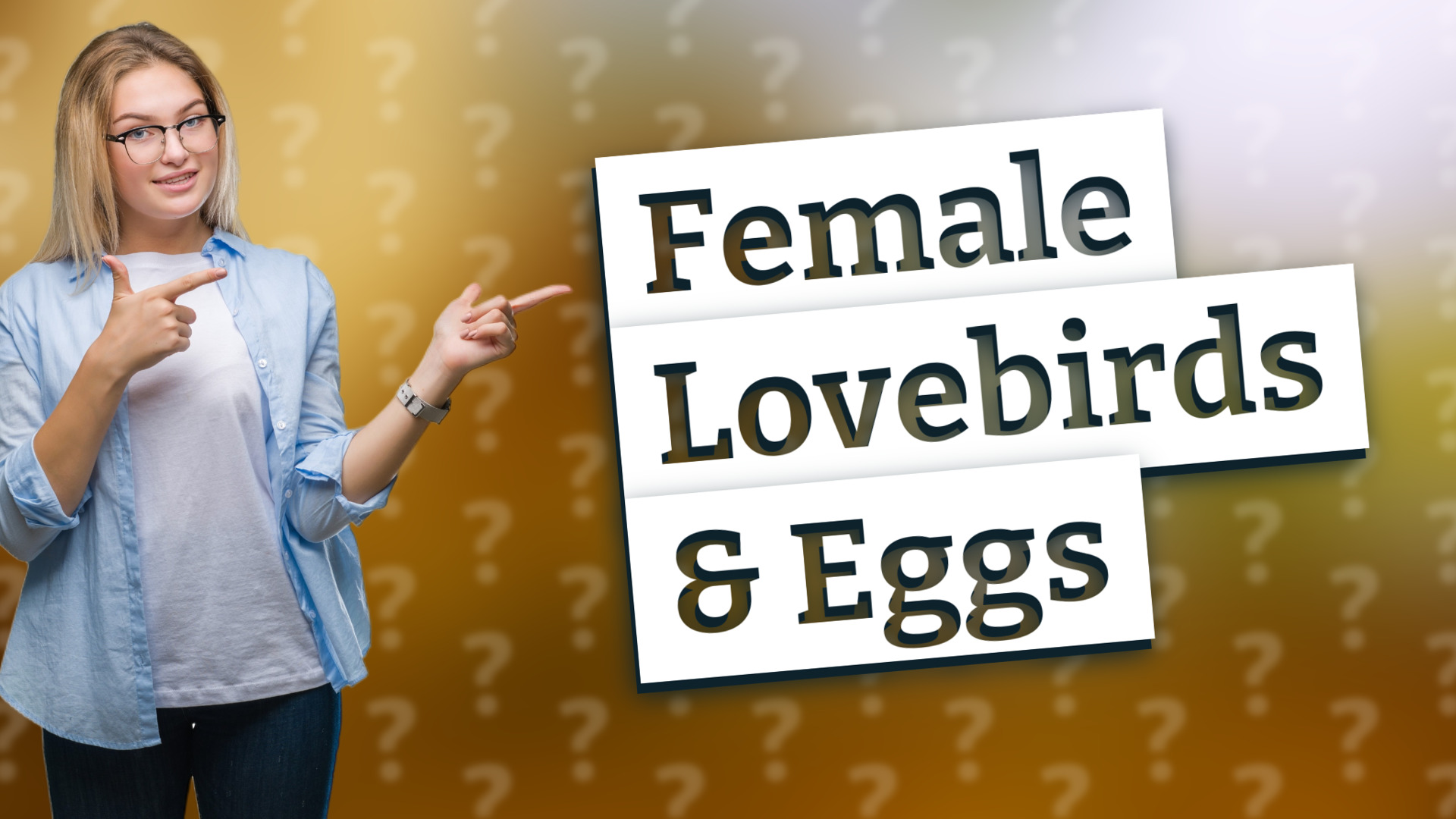 Female Lovebirds & Eggs