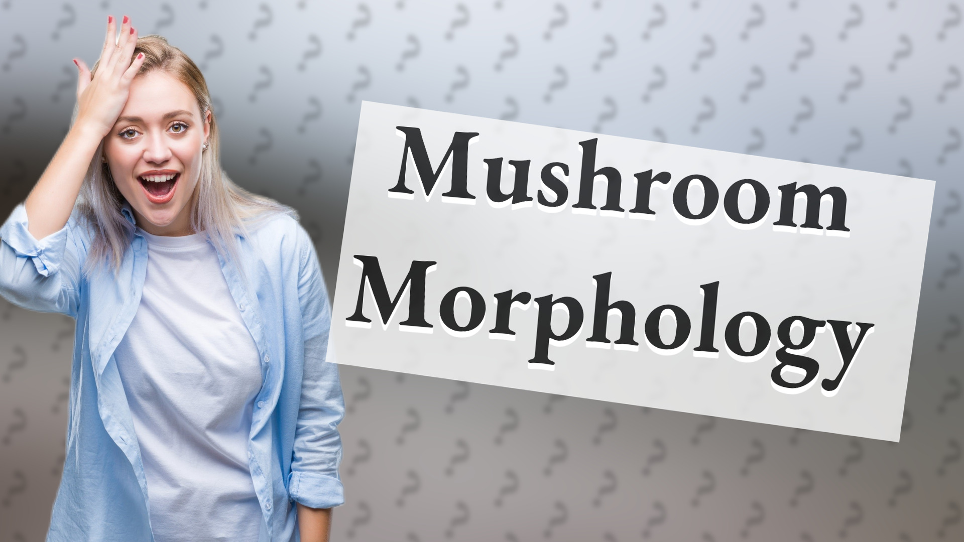 Mushroom Morphology