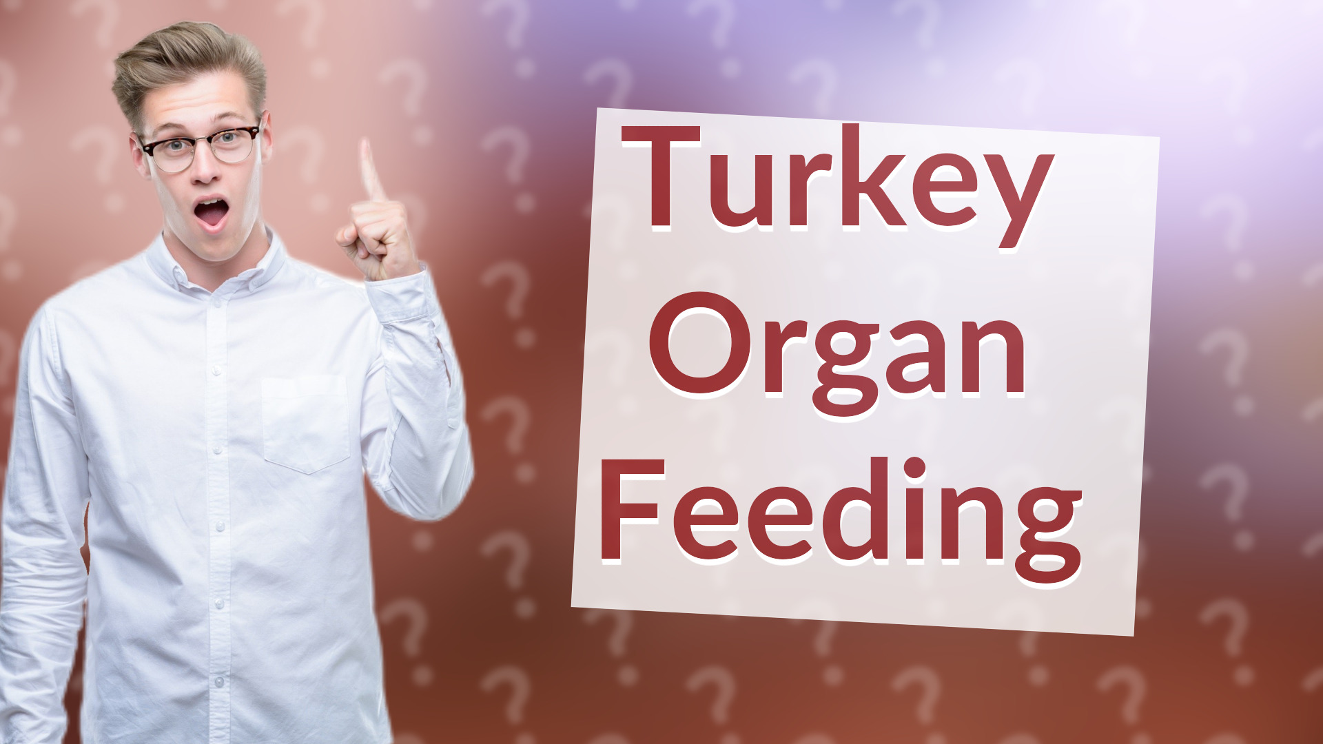 Turkey Organ Feeding