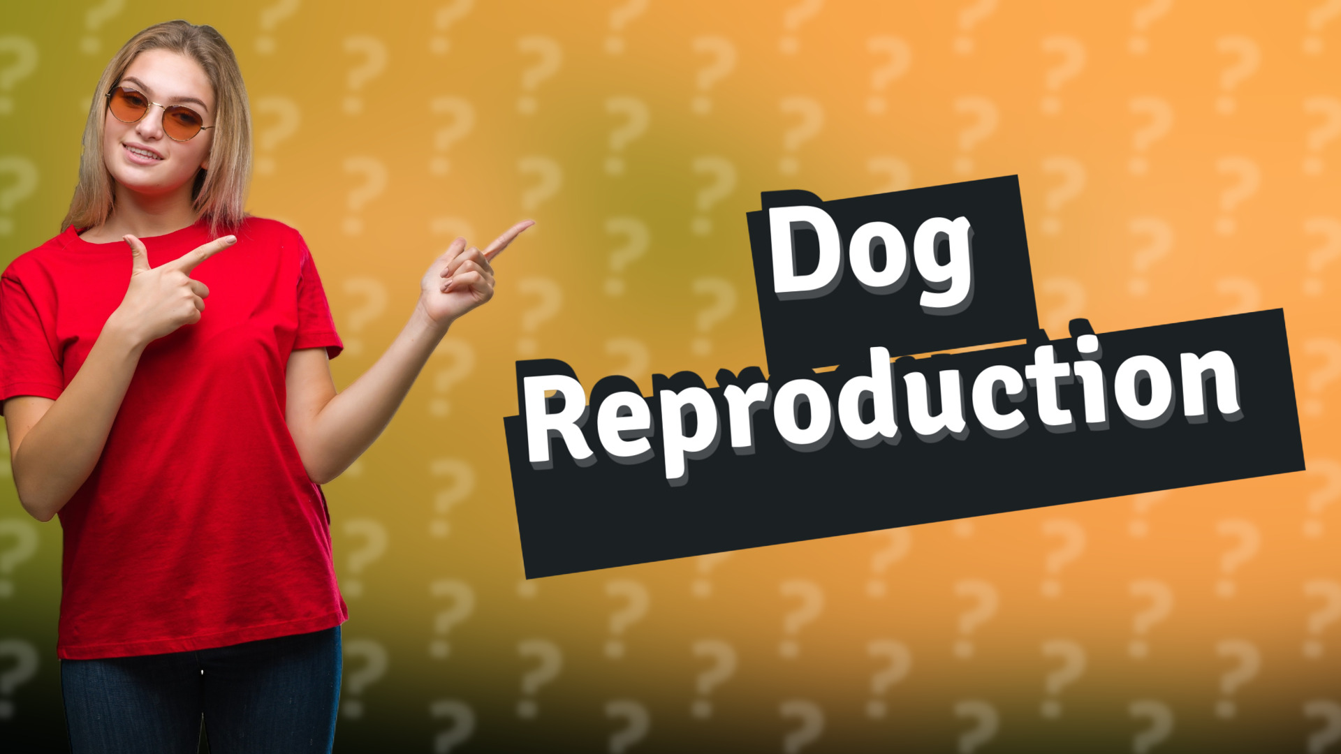 Dog Reproduction