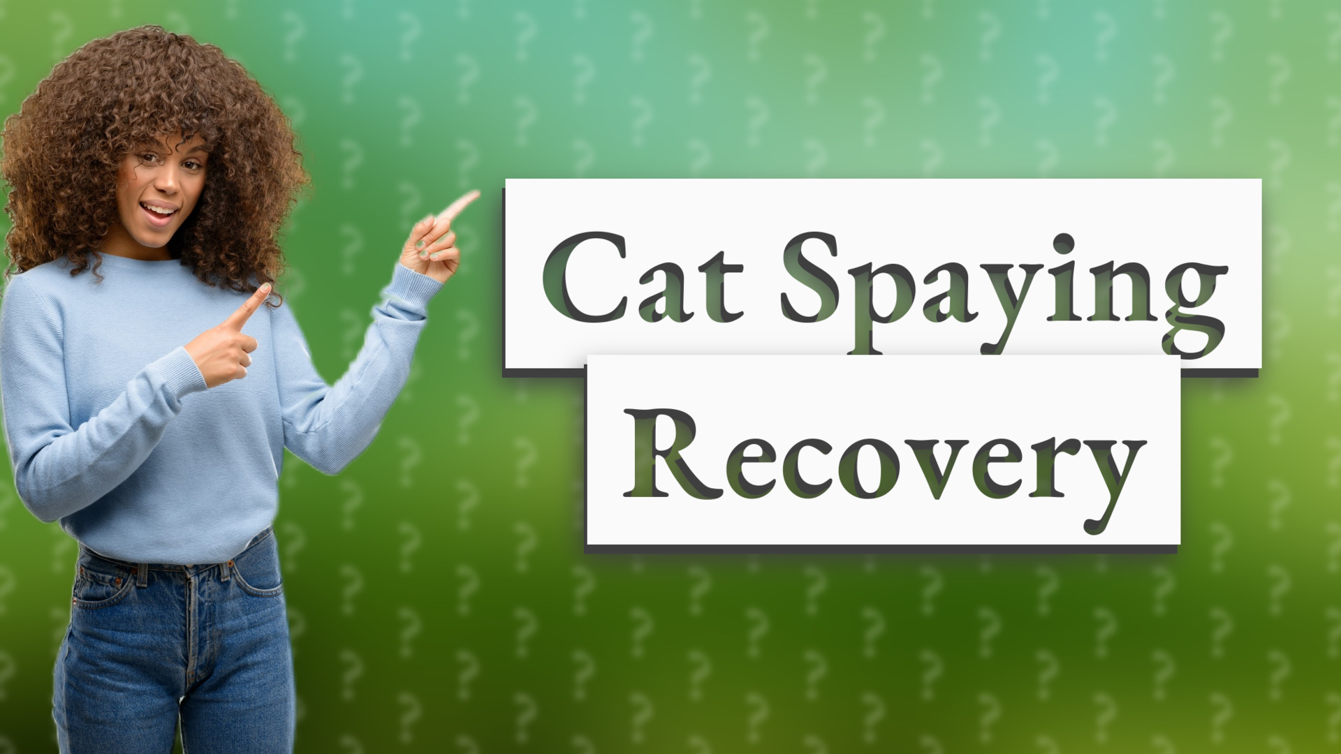 Cat Spaying Recovery