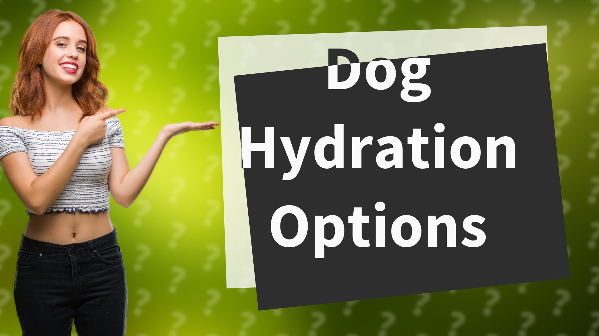 Dog Hydration Options