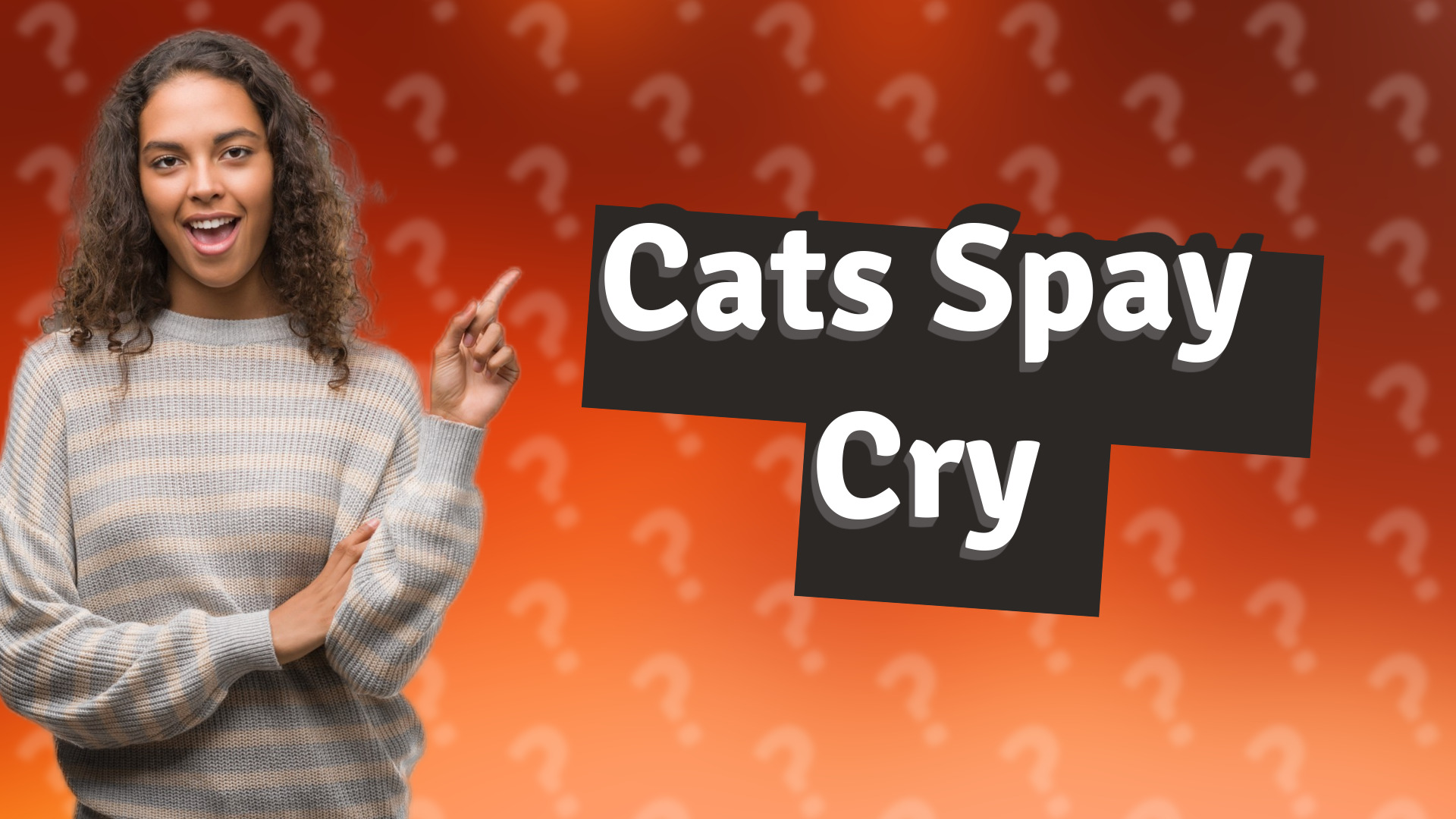 Cats Spay Cry