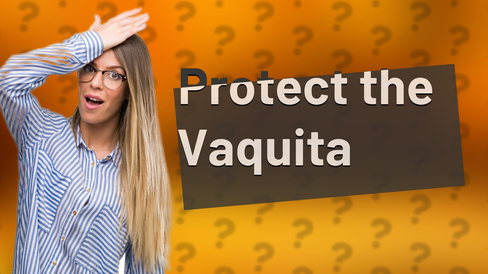Protect the Vaquita