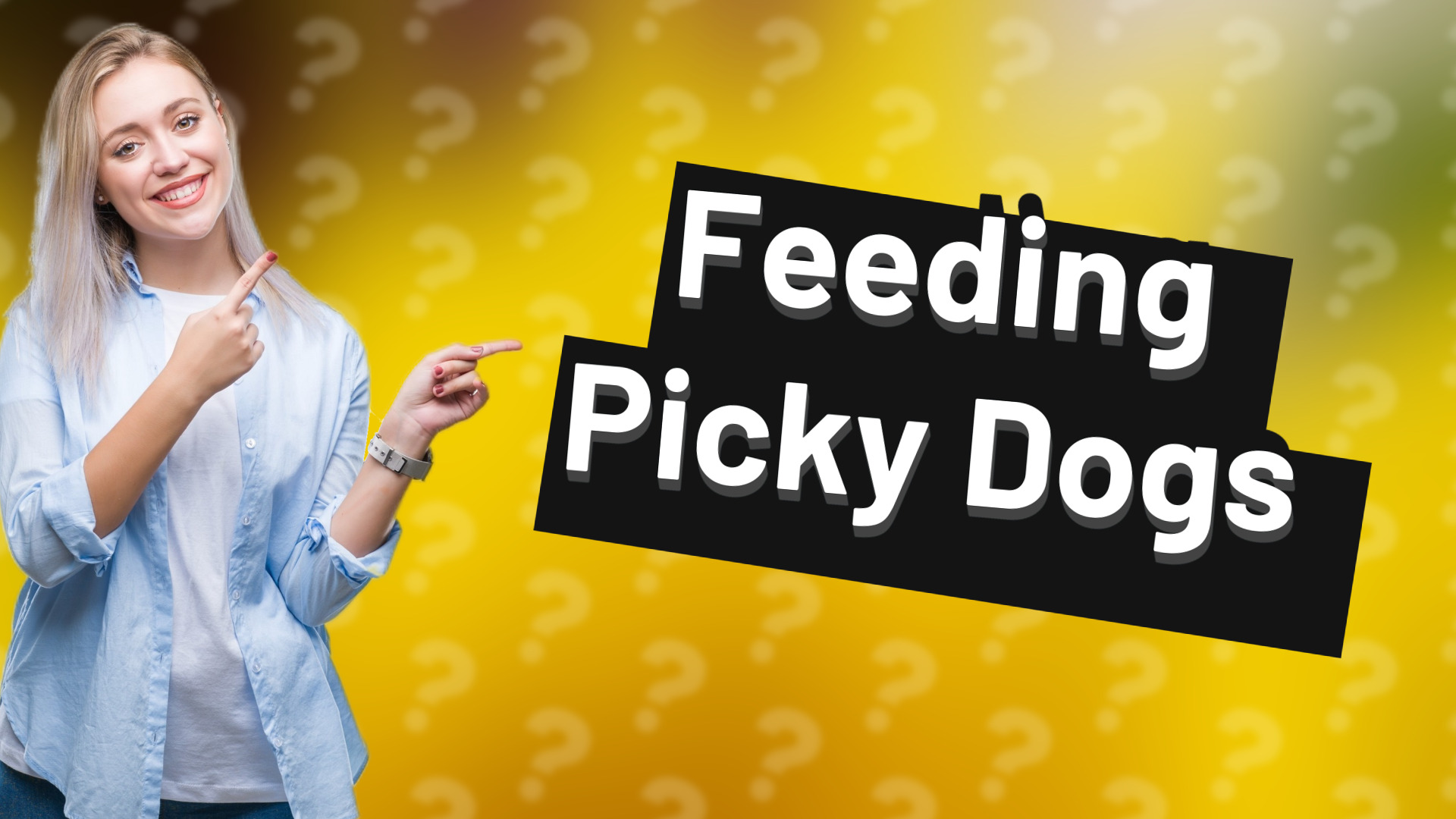 Feeding Picky Dogs