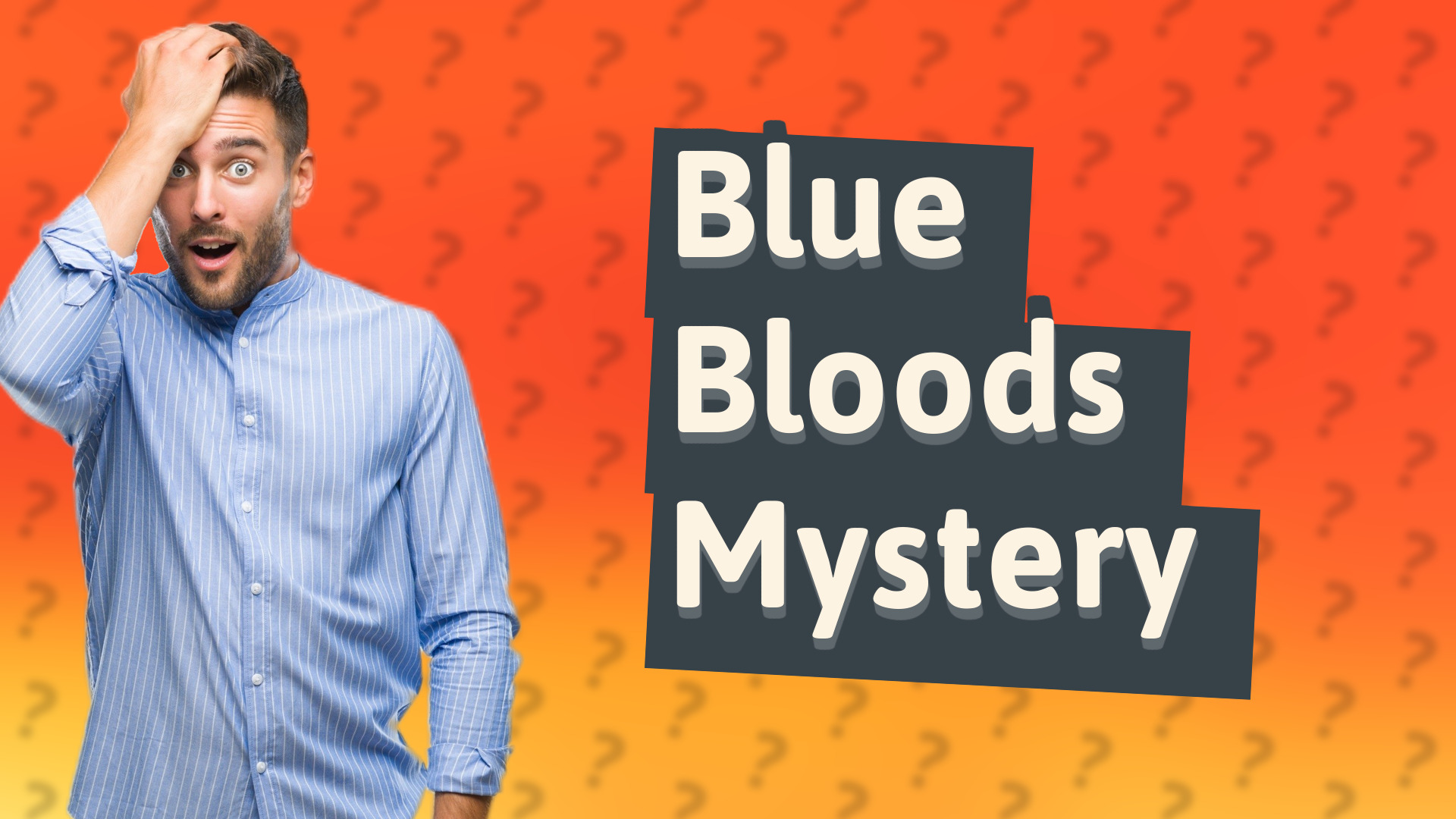Blue Bloods Mystery