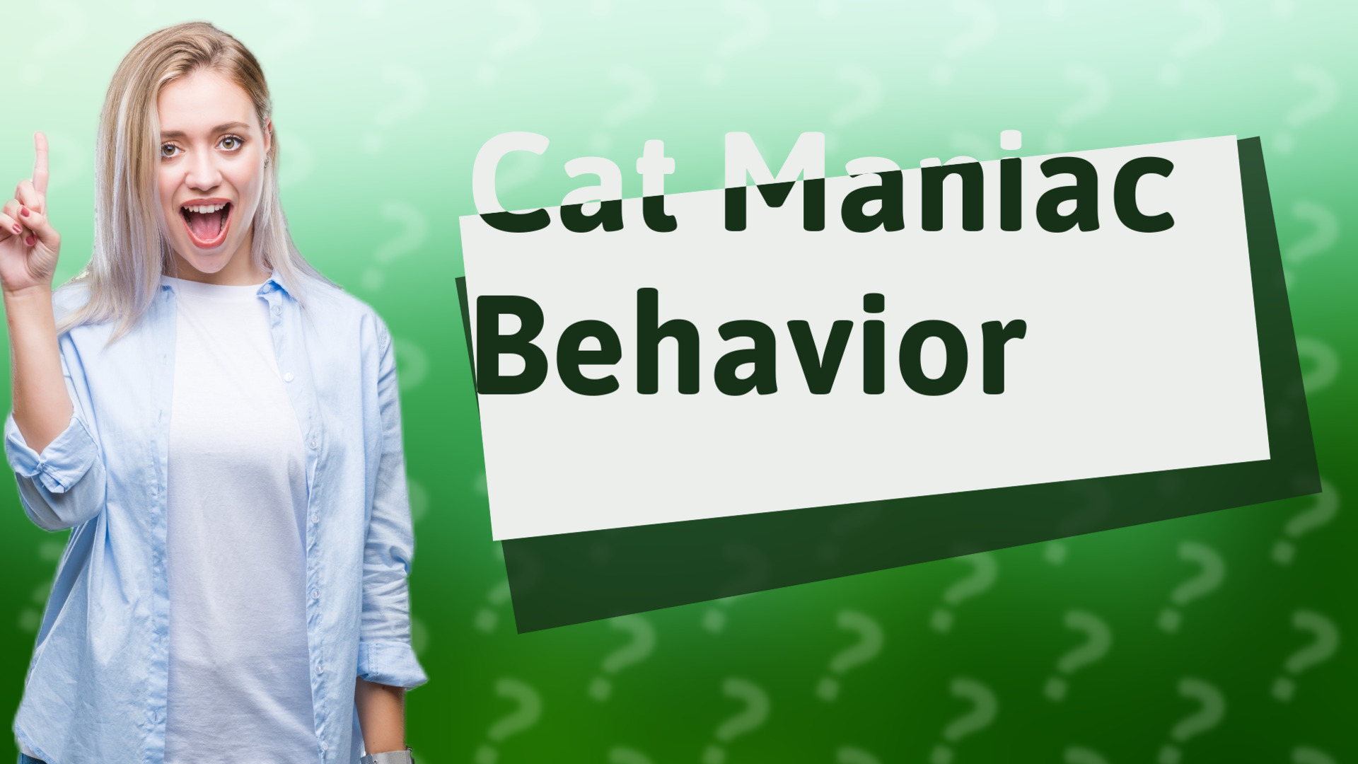 Cat Maniac Behavior