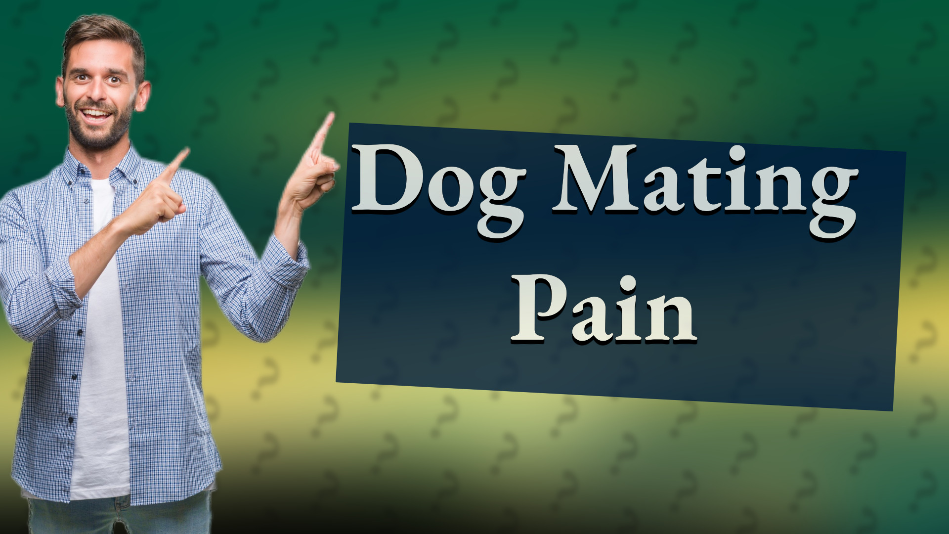Dog Mating Pain