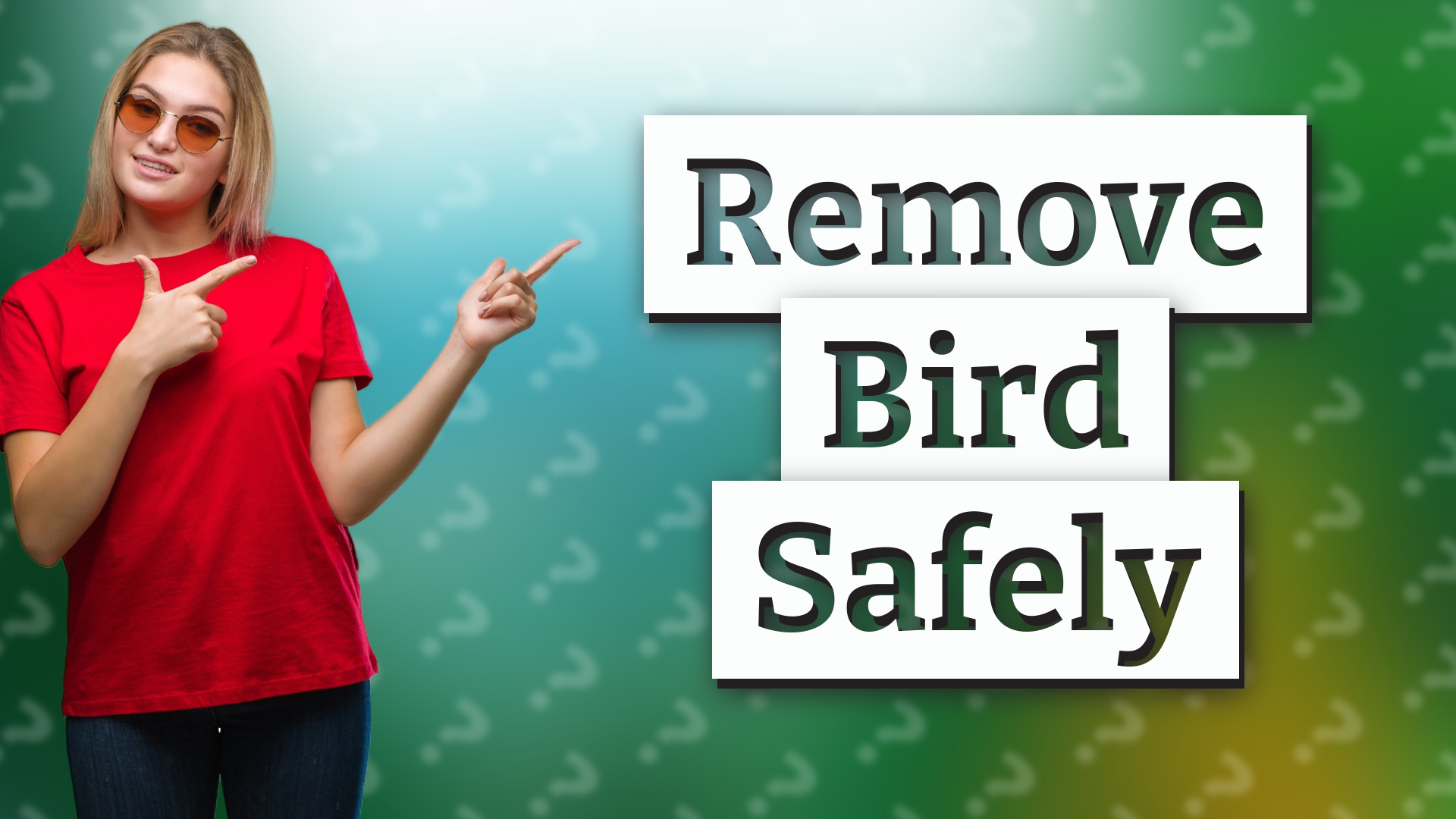 Remove Bird Safely