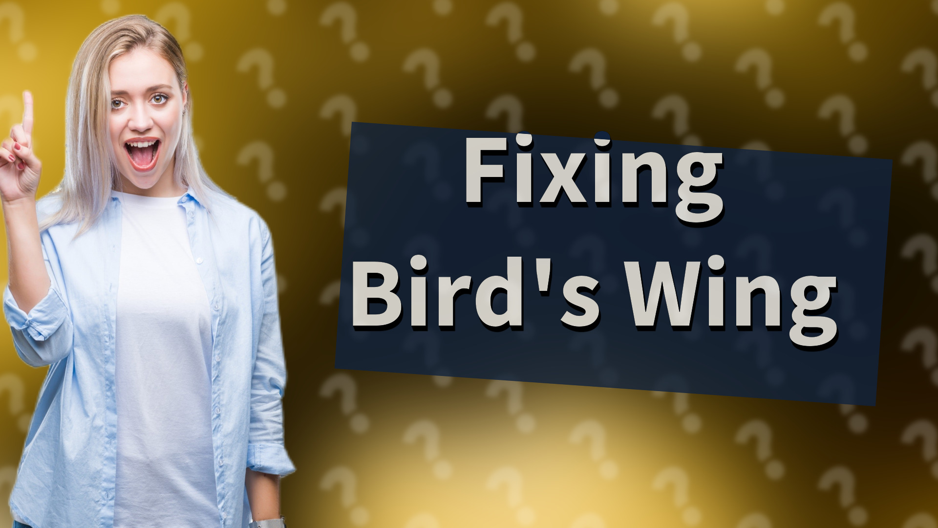 Fixing Bird's Wing