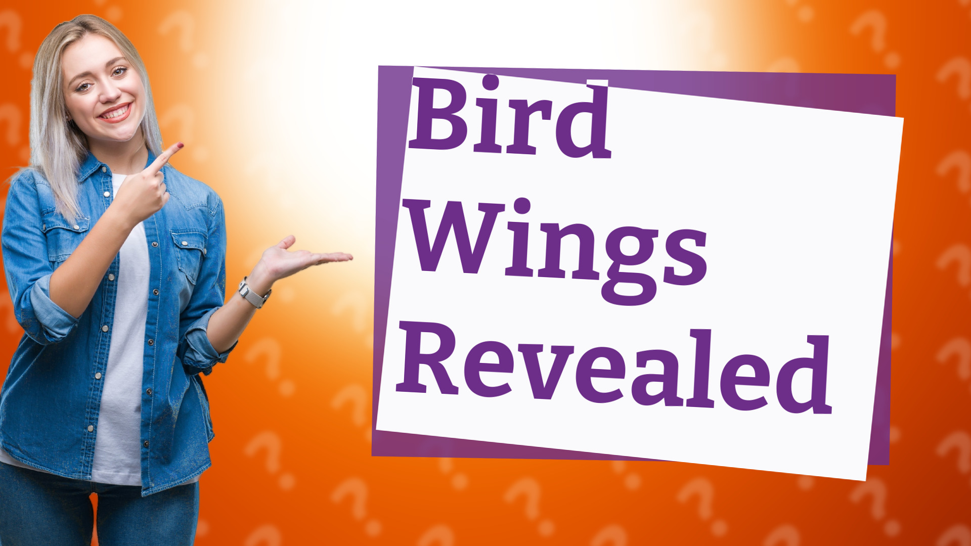 Bird Wings Revealed