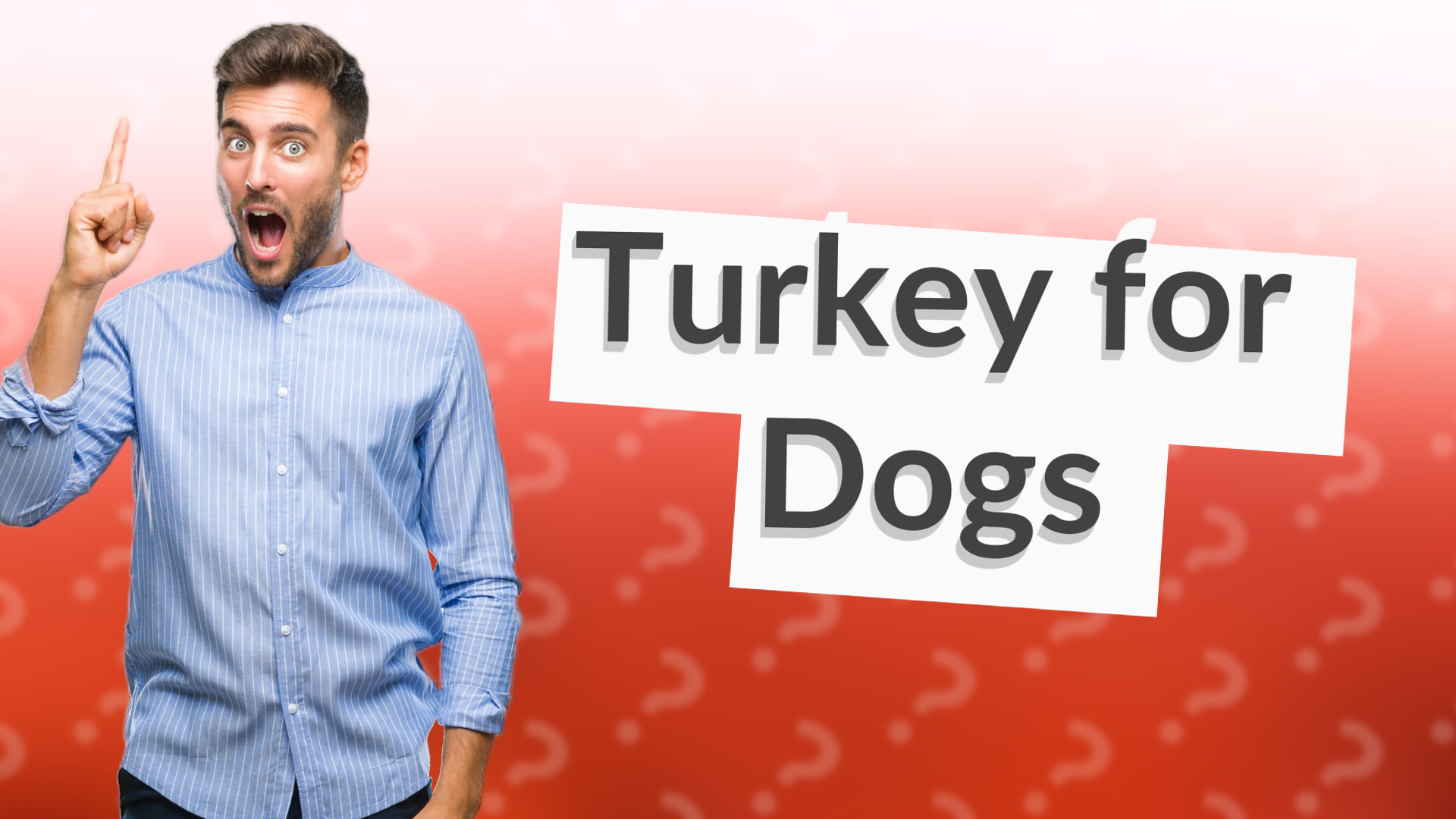 Turkey for Dogs