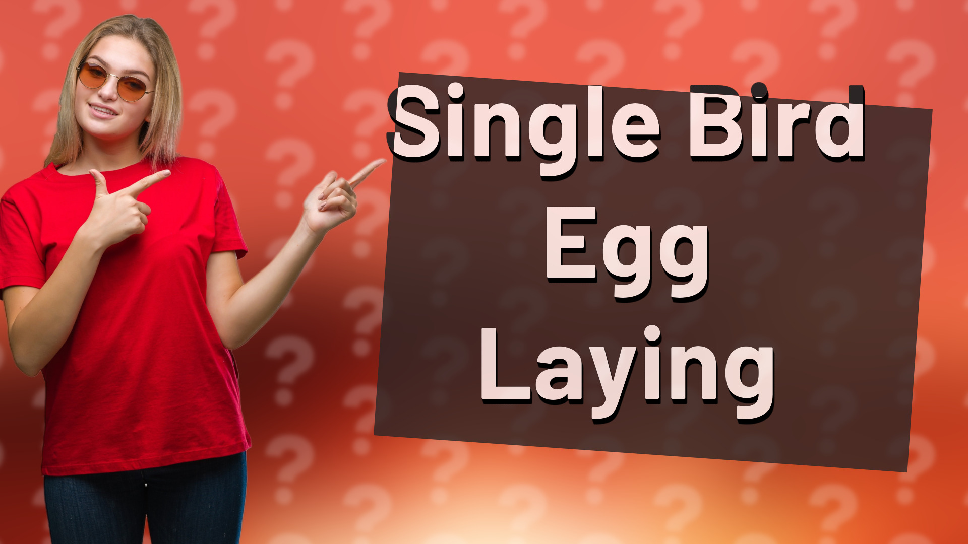 Single Bird Egg Laying