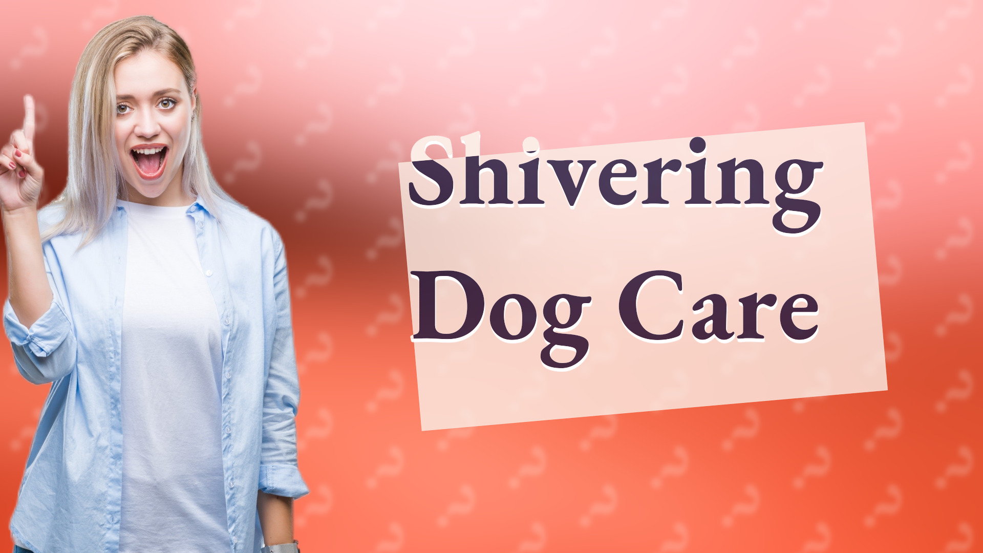 Shivering Dog Care