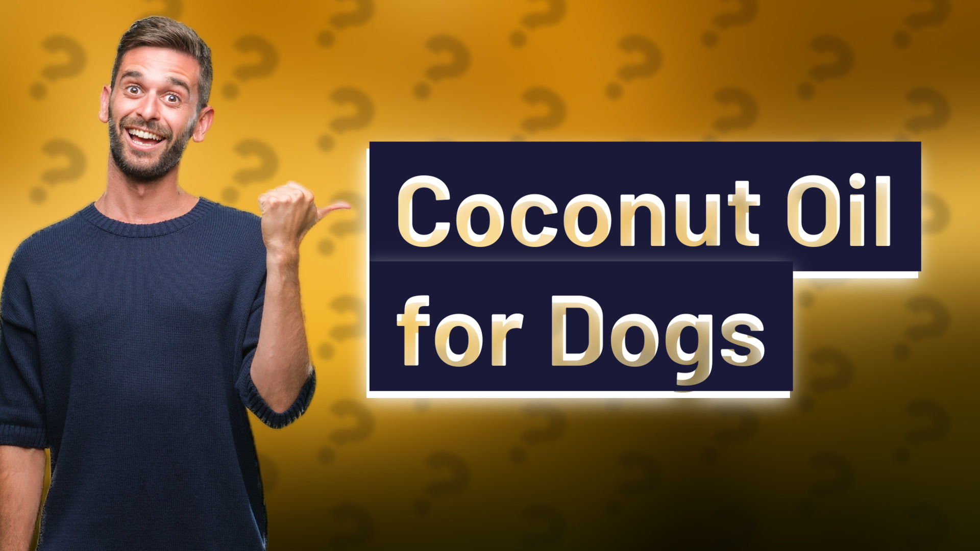 Coconut Oil for Dogs