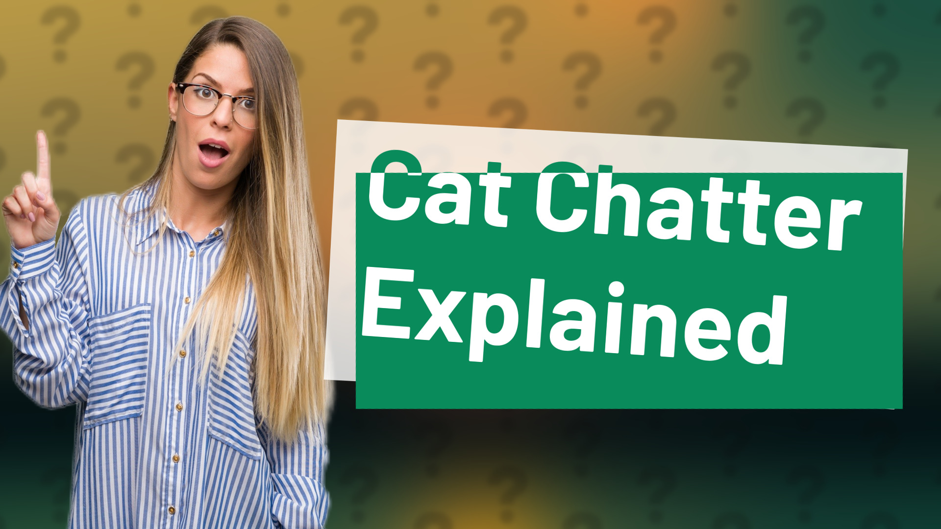 Cat Chatter Explained