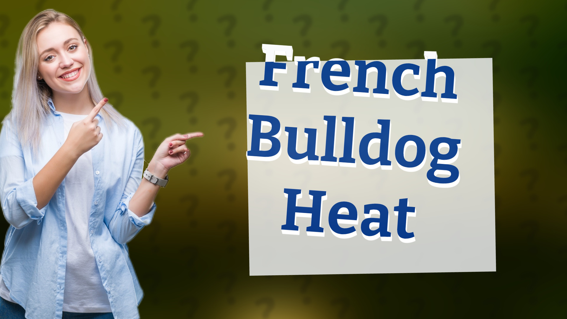 French Bulldog Heat