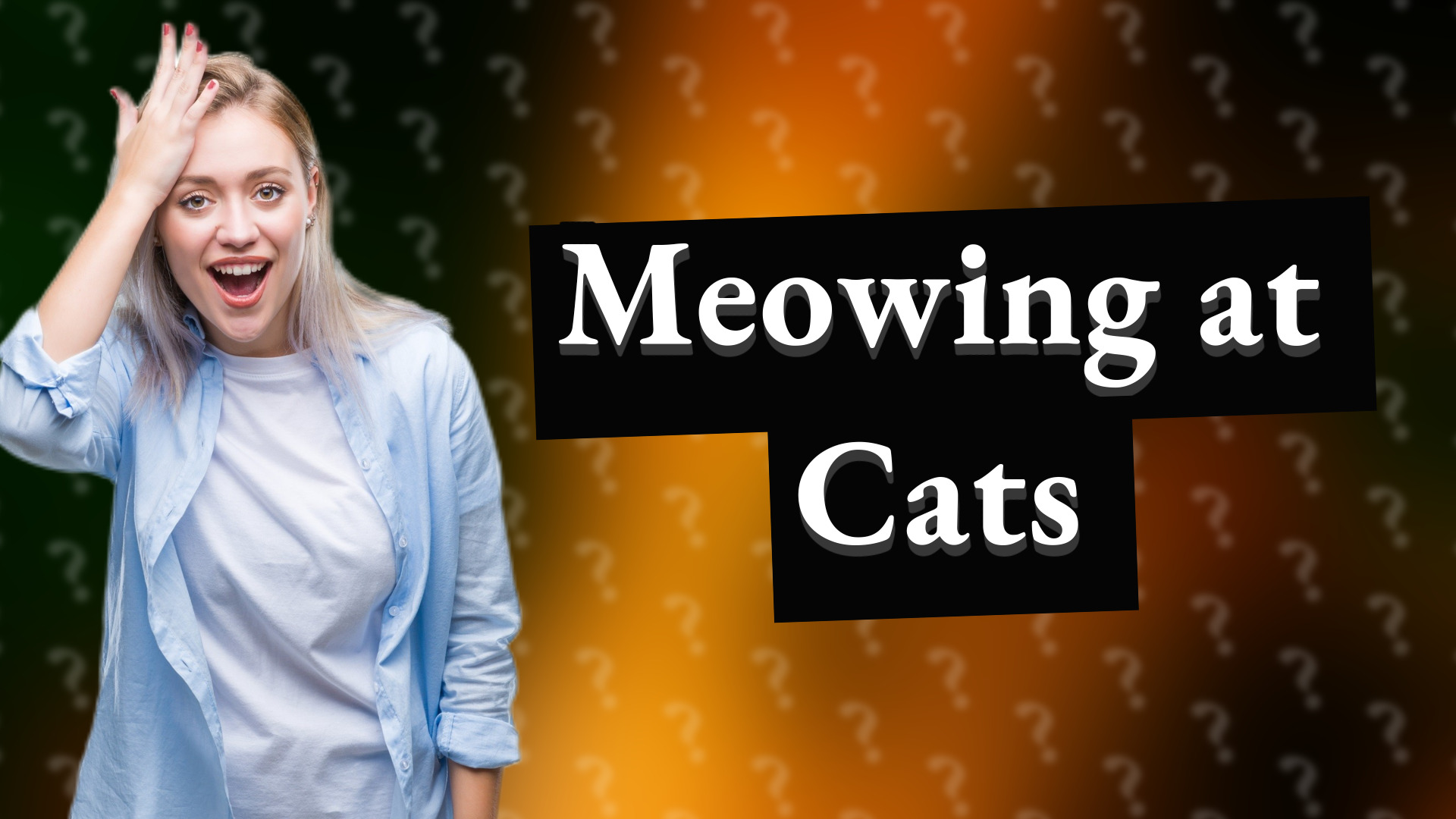 Meowing at Cats