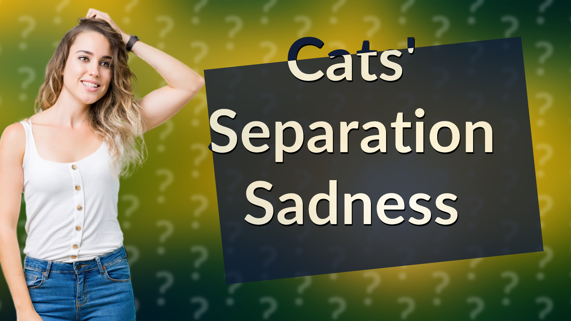 Cats' Separation Sadness